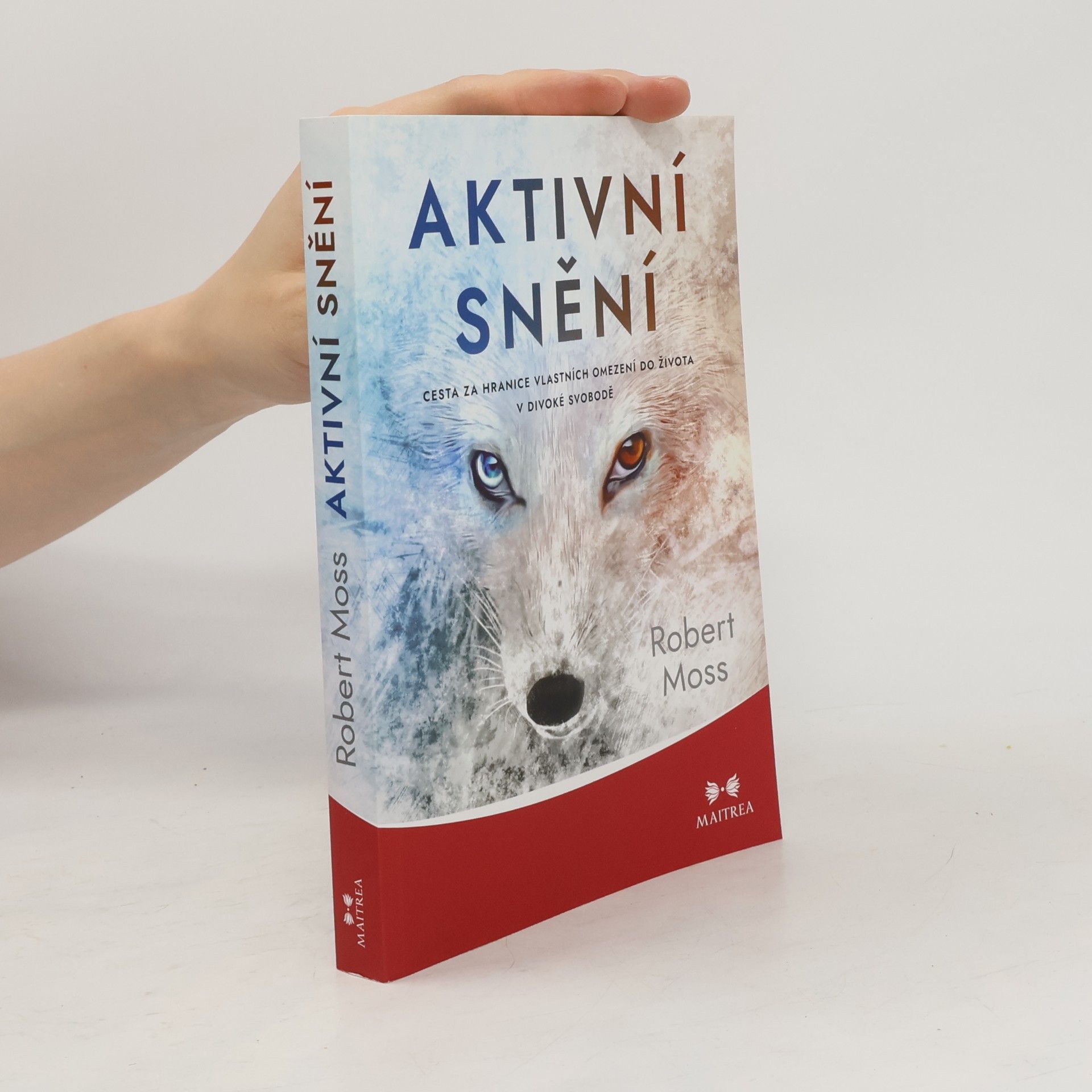 Robert Moss Aktivní snění