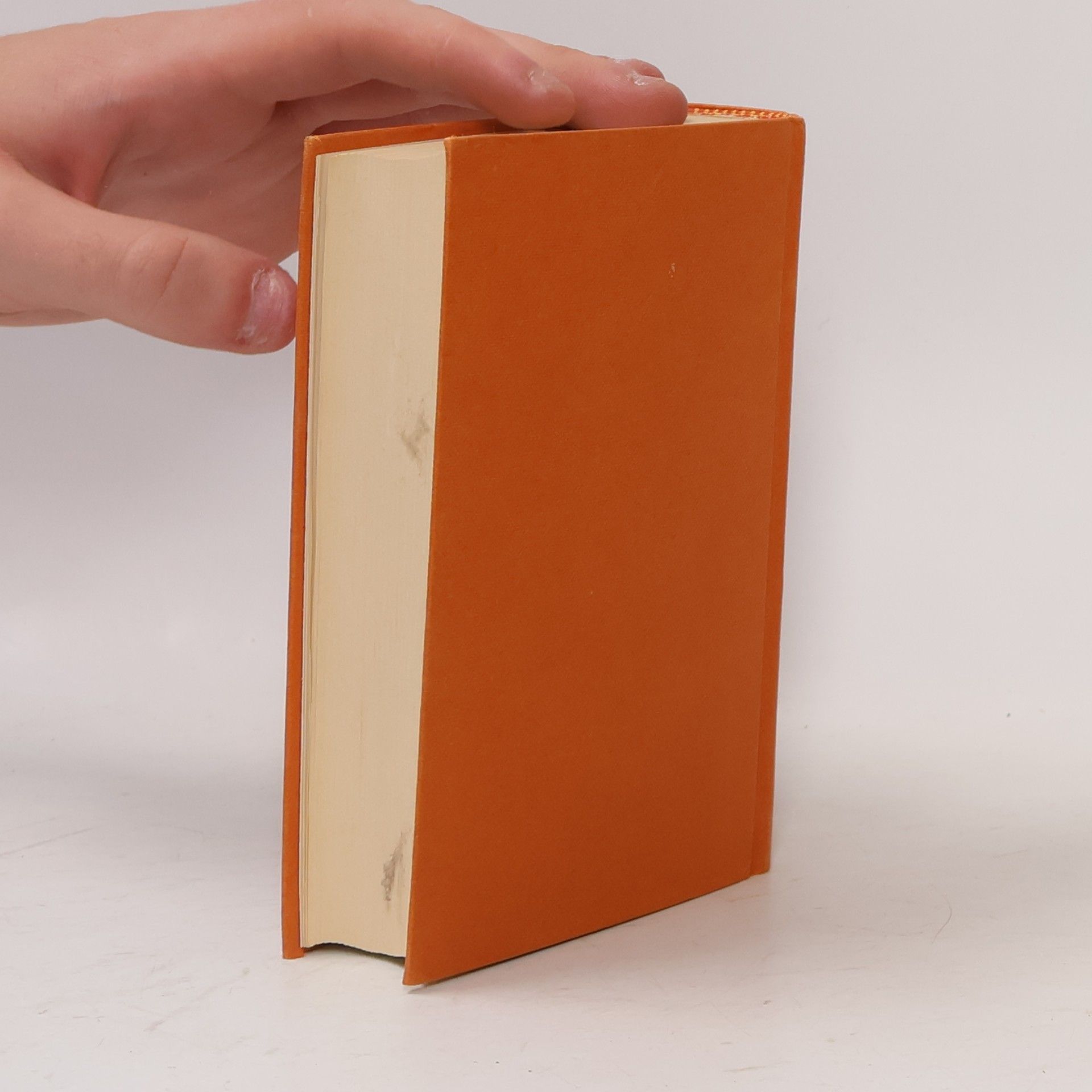 Hanspeter Haeseler Das kleine dicke Liederbuch. Lieder und Tänze bis in unsere Zeit