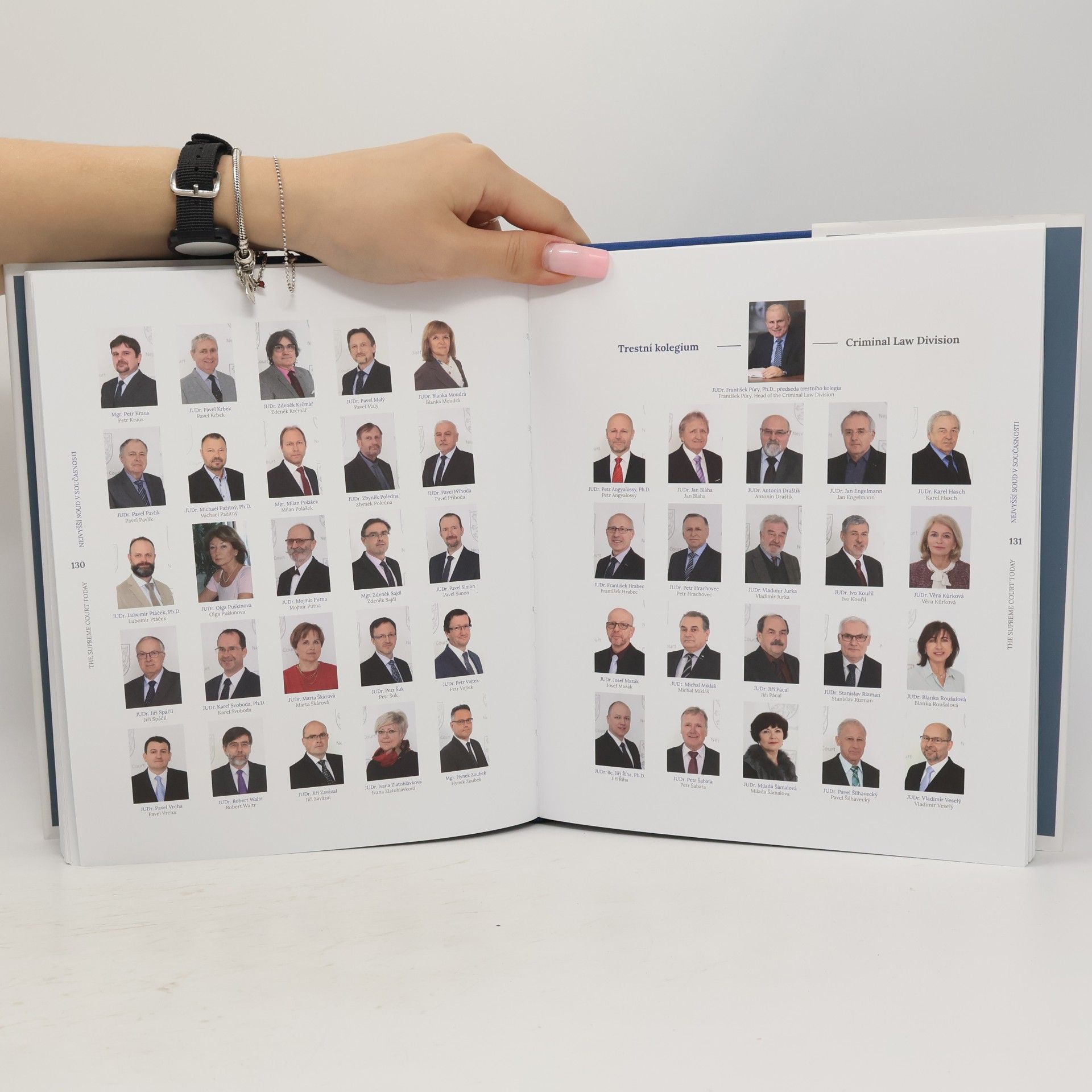 Autorenkollektiv Nejvyšší soud = The supreme court