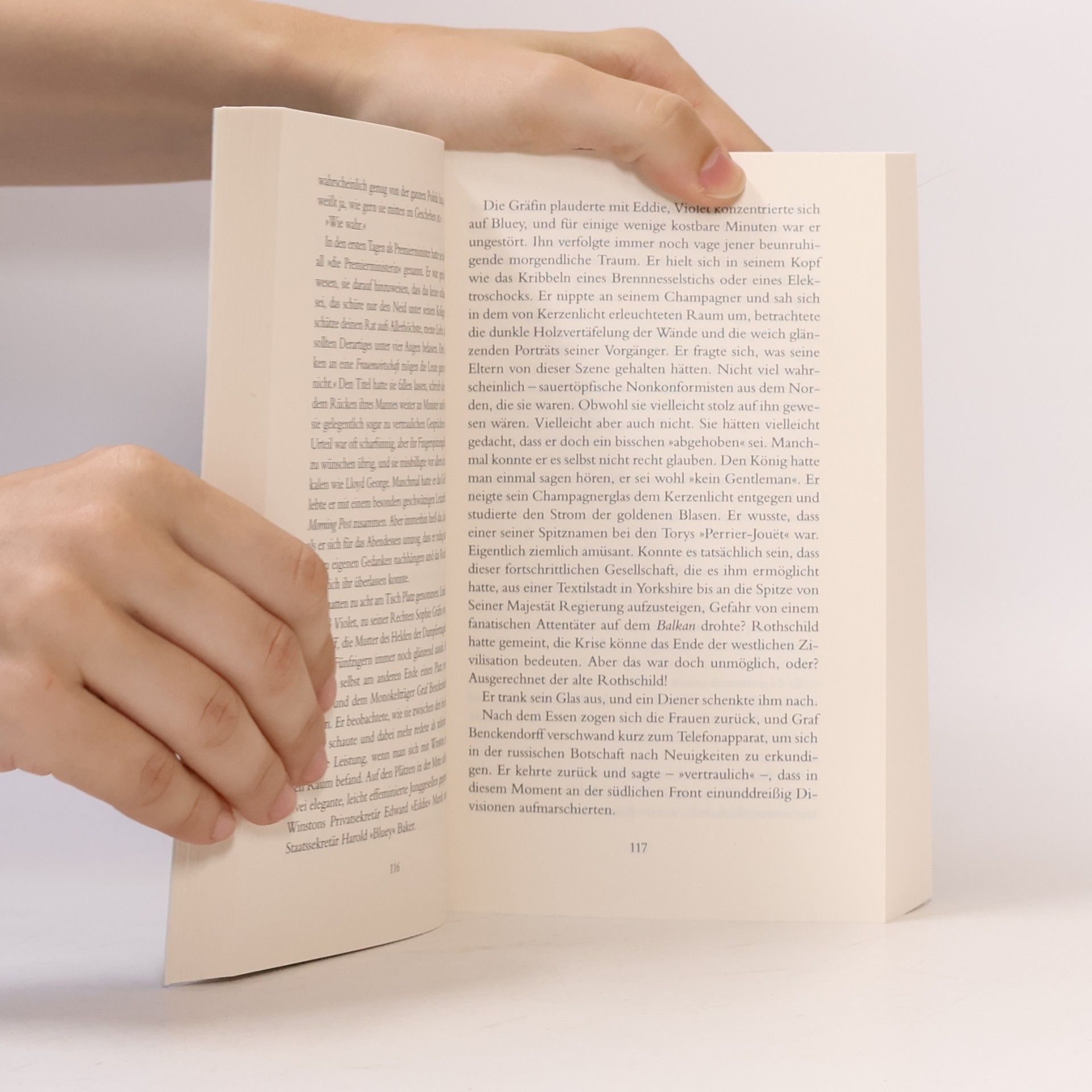 Harris, Robert Abgrund: Roman