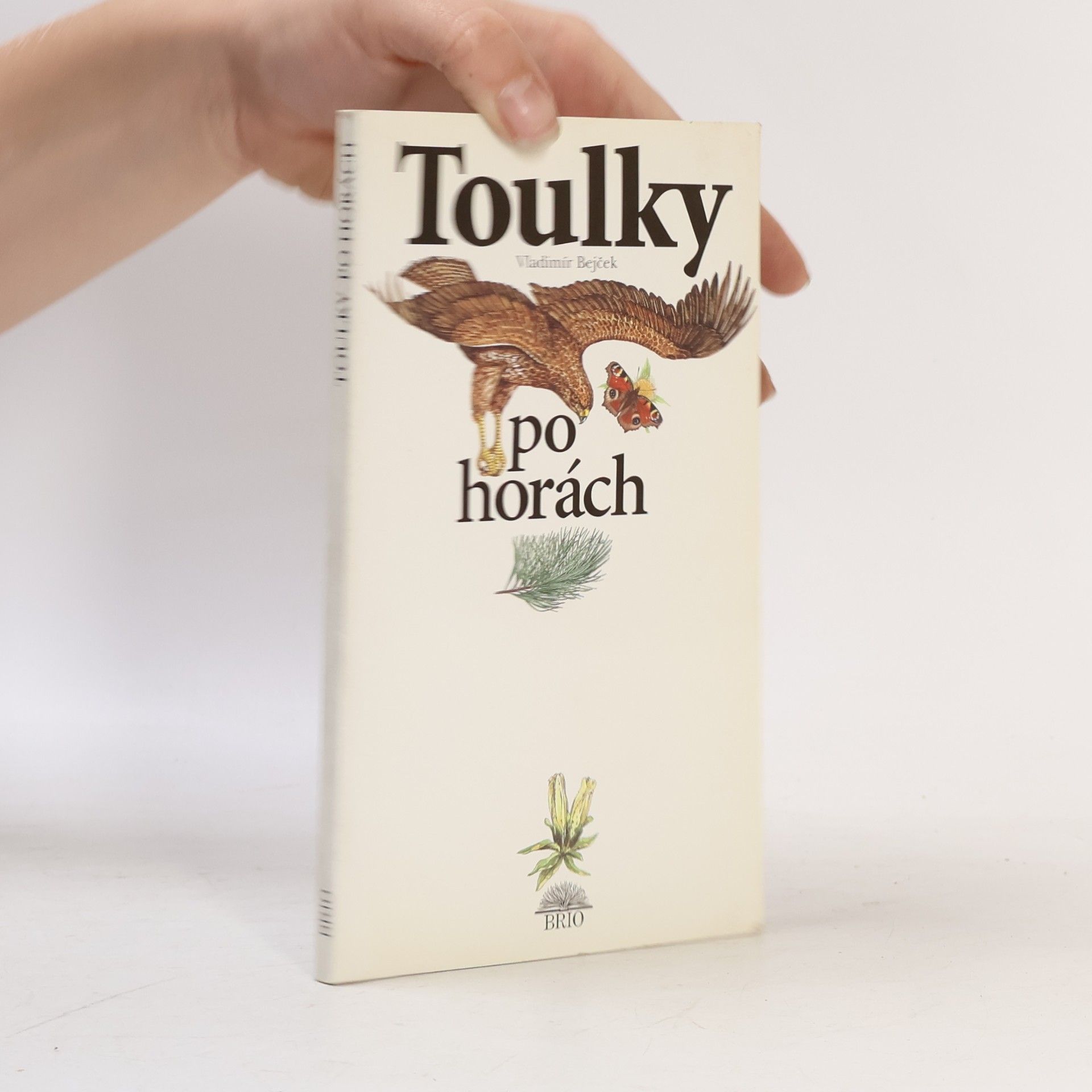 Antonín Bielich Toulky po horách
