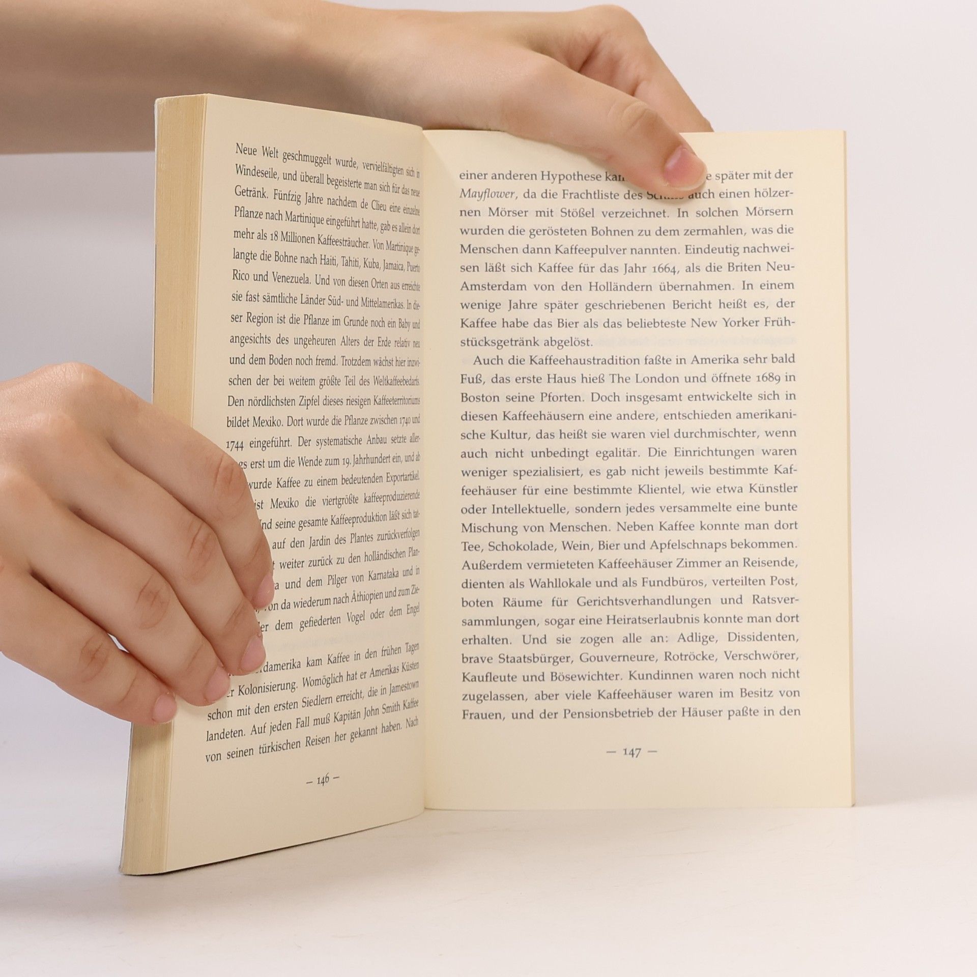 Leah Hager Cohen Die Welt hinter den Dingen