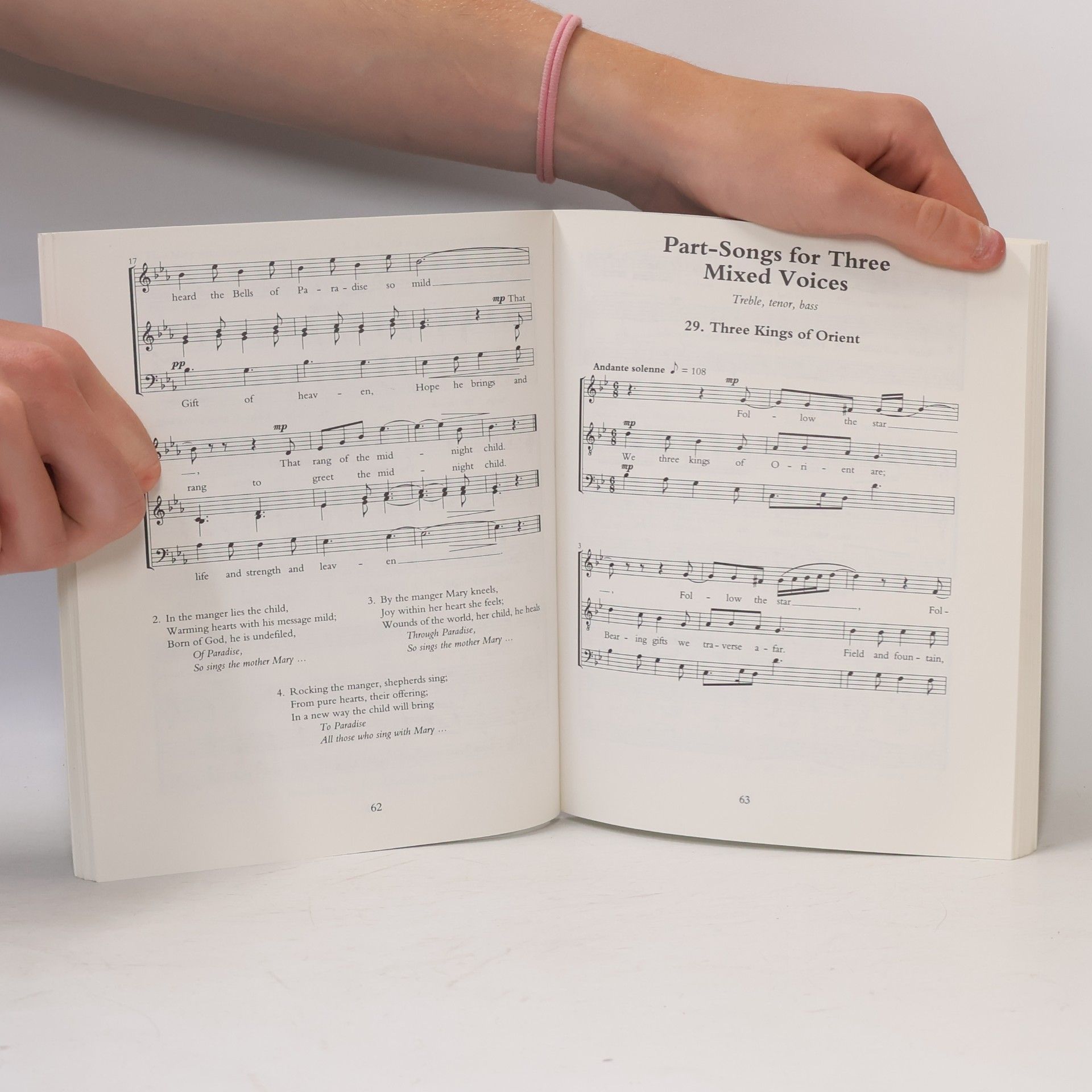 Brien Masters The Second Waldorf Song Book
