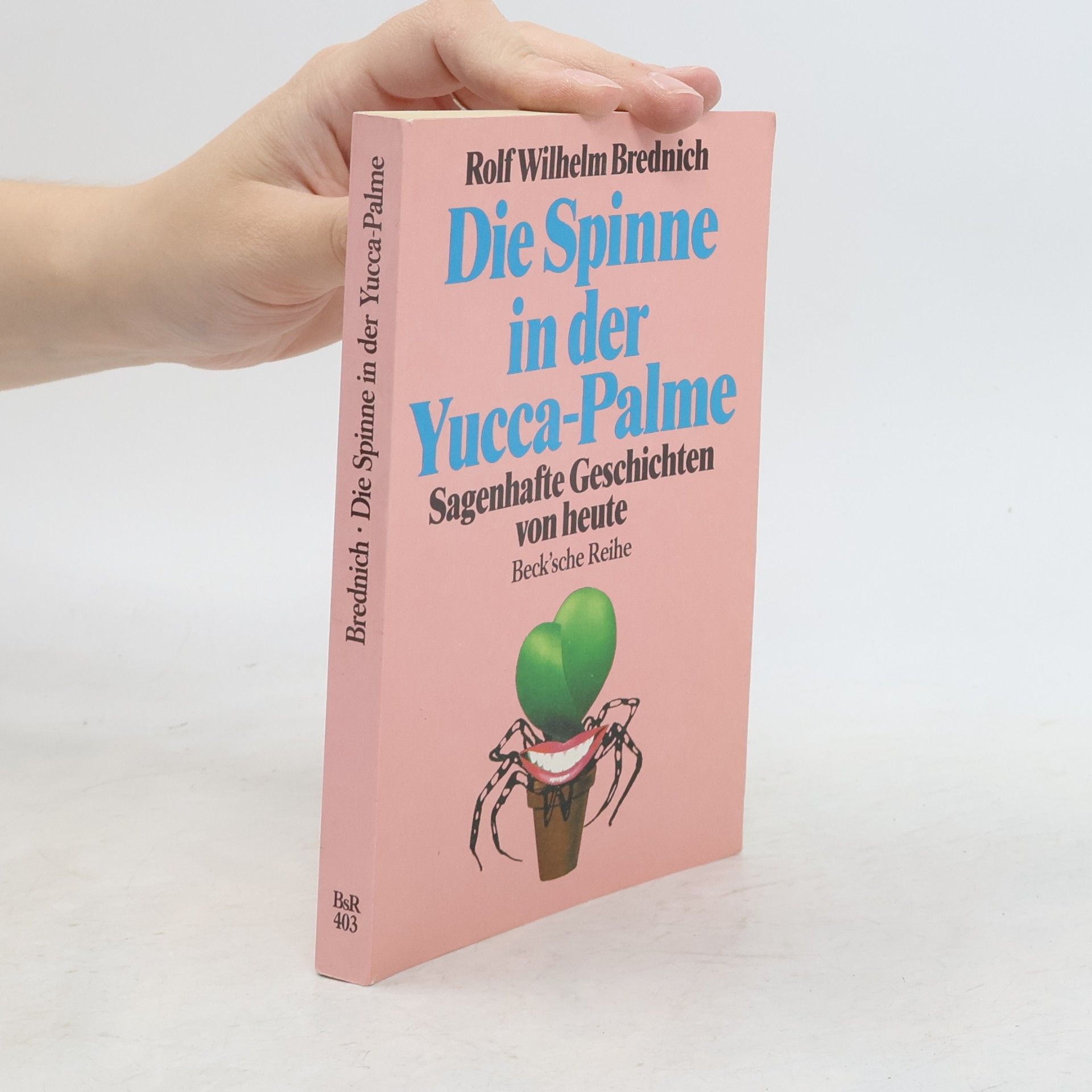 Rolf Wilhelm Brednich Die Spinne in der Yucca-Palme