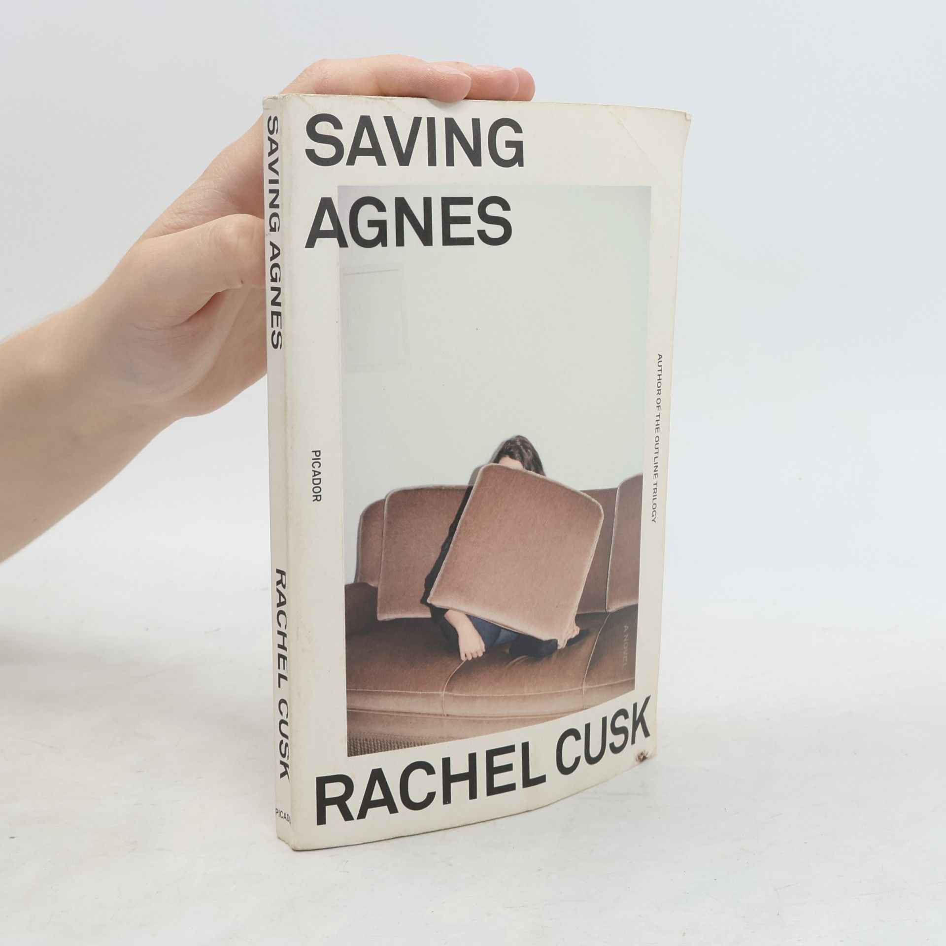 Rachel Cusk Saving Agnes