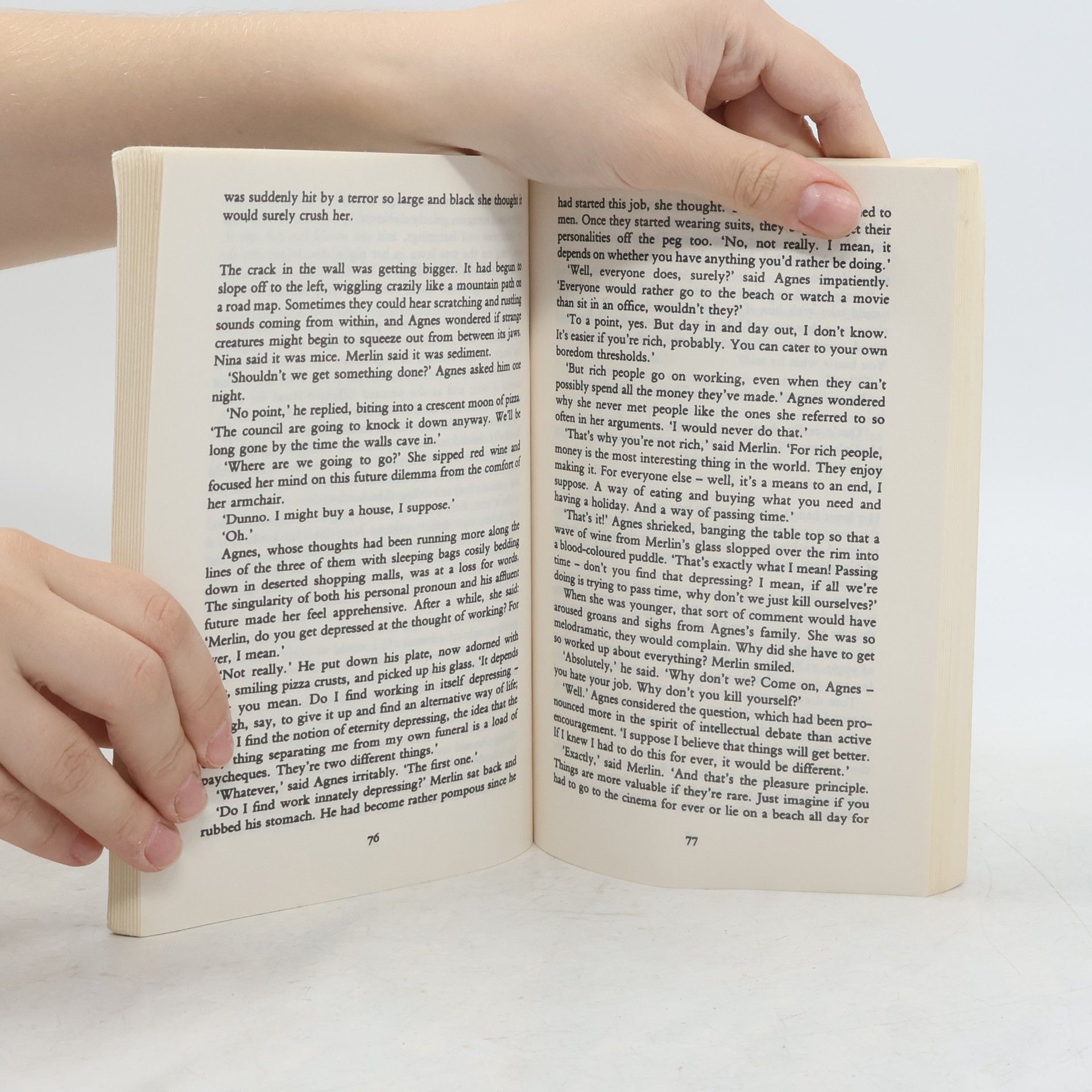 Rachel Cusk Saving Agnes
