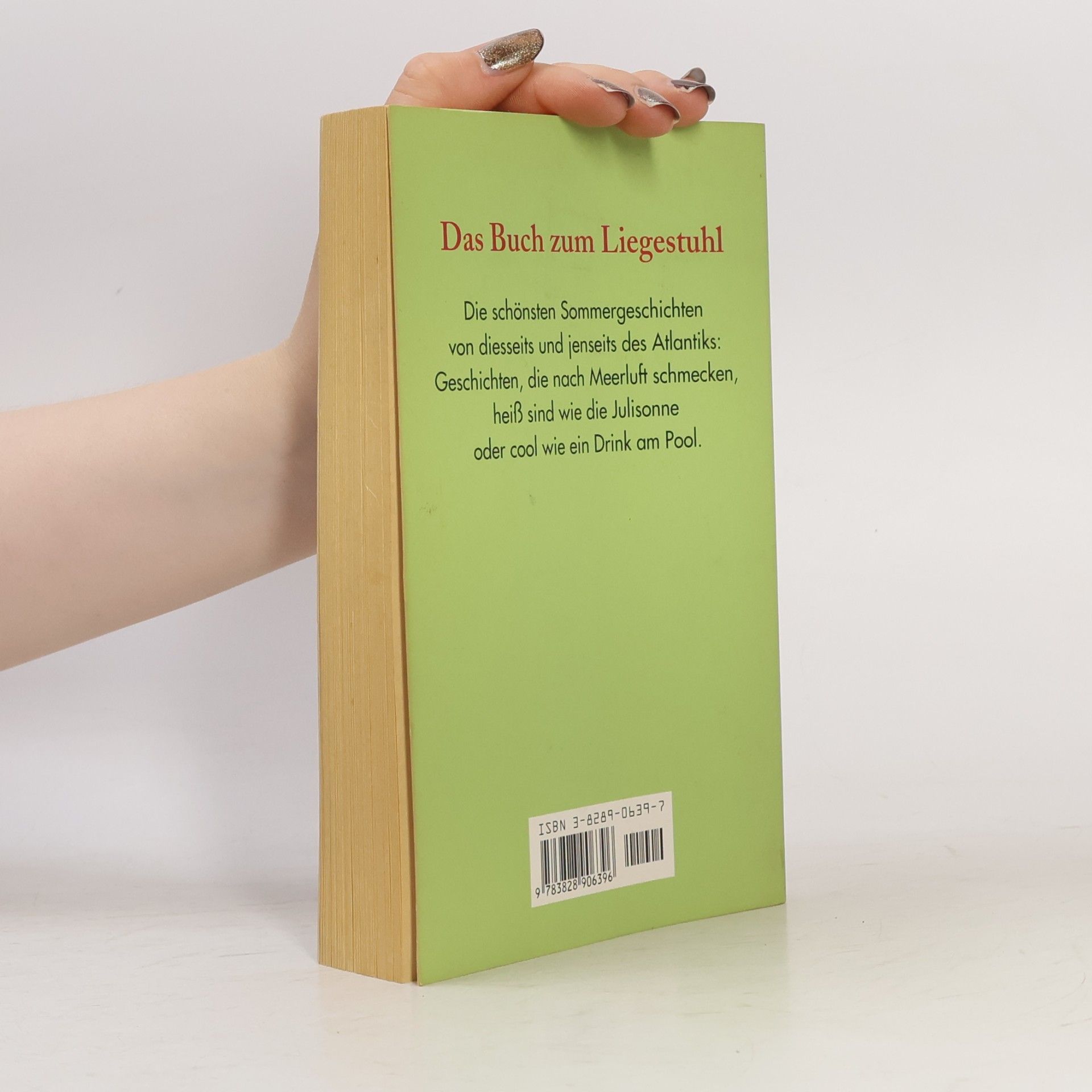 Holger Wolandt Das große Sommerlesebuch