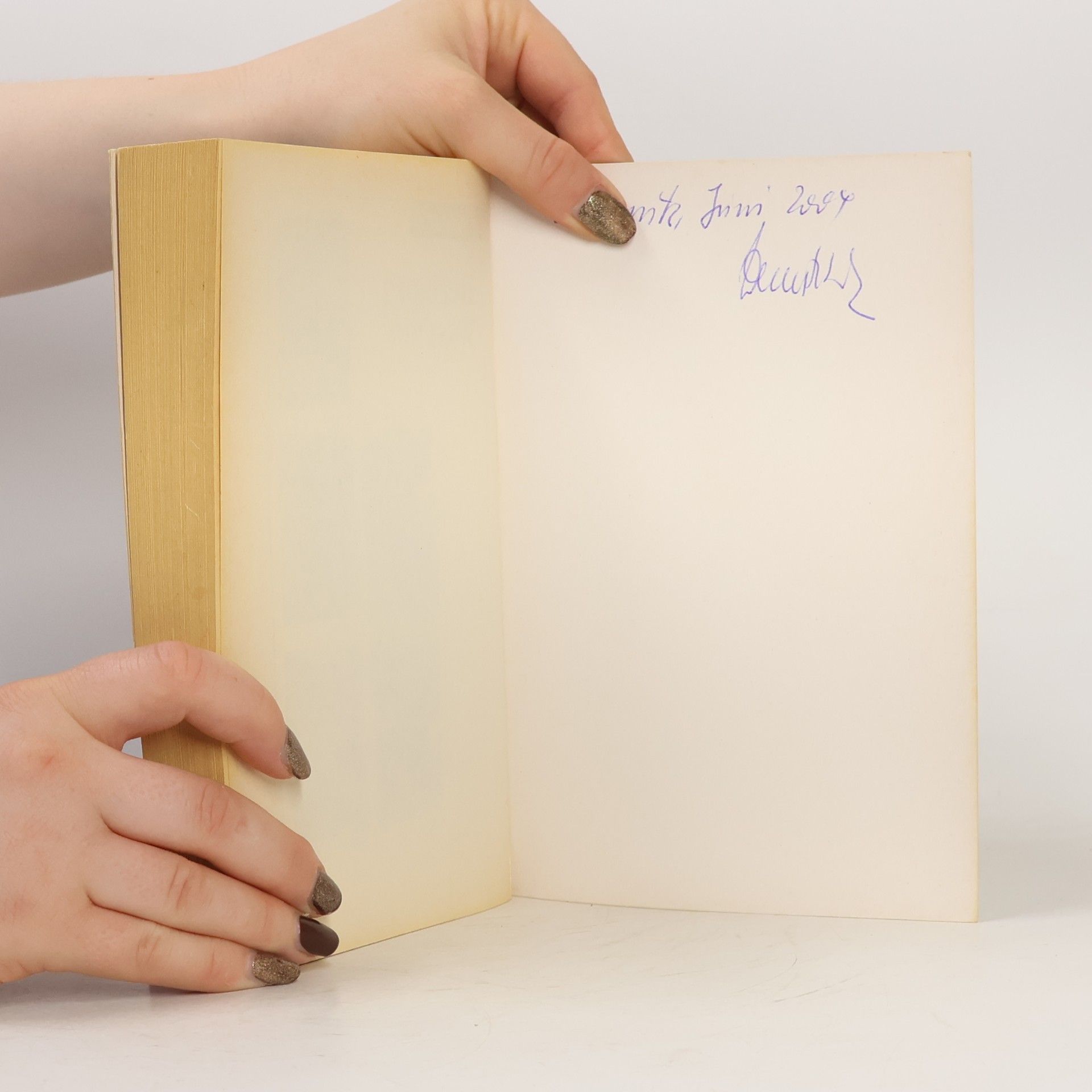 Holger Wolandt Das große Sommerlesebuch