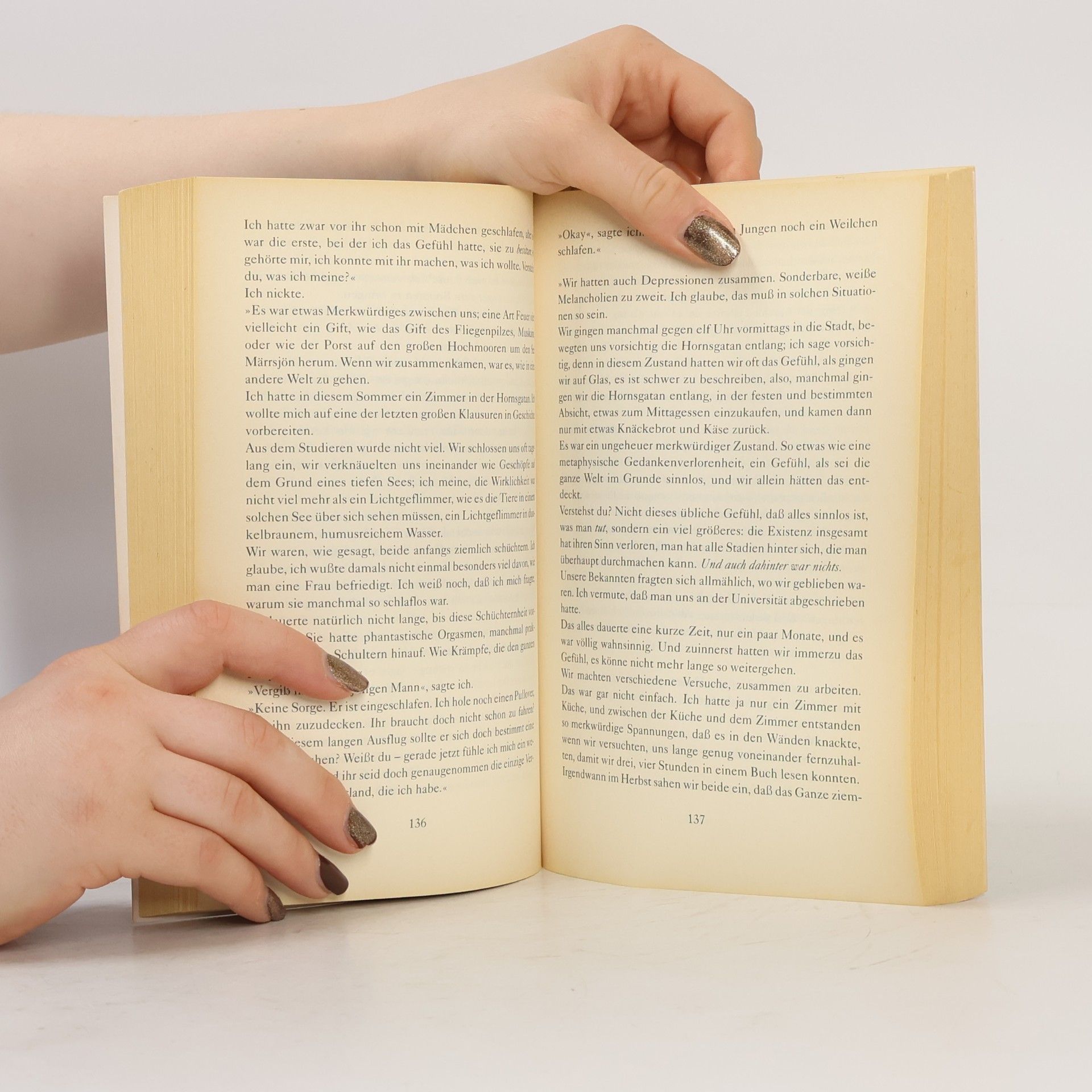 Holger Wolandt Das große Sommerlesebuch