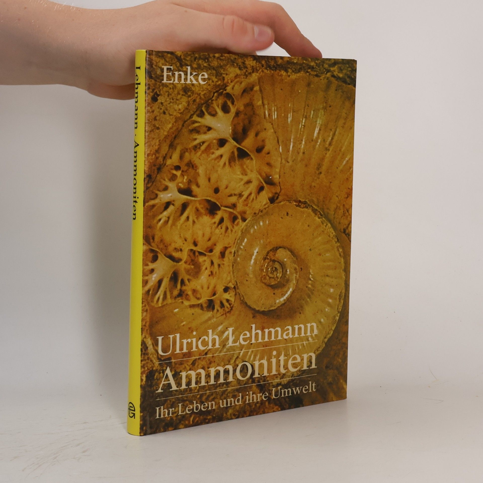 Ammoniten