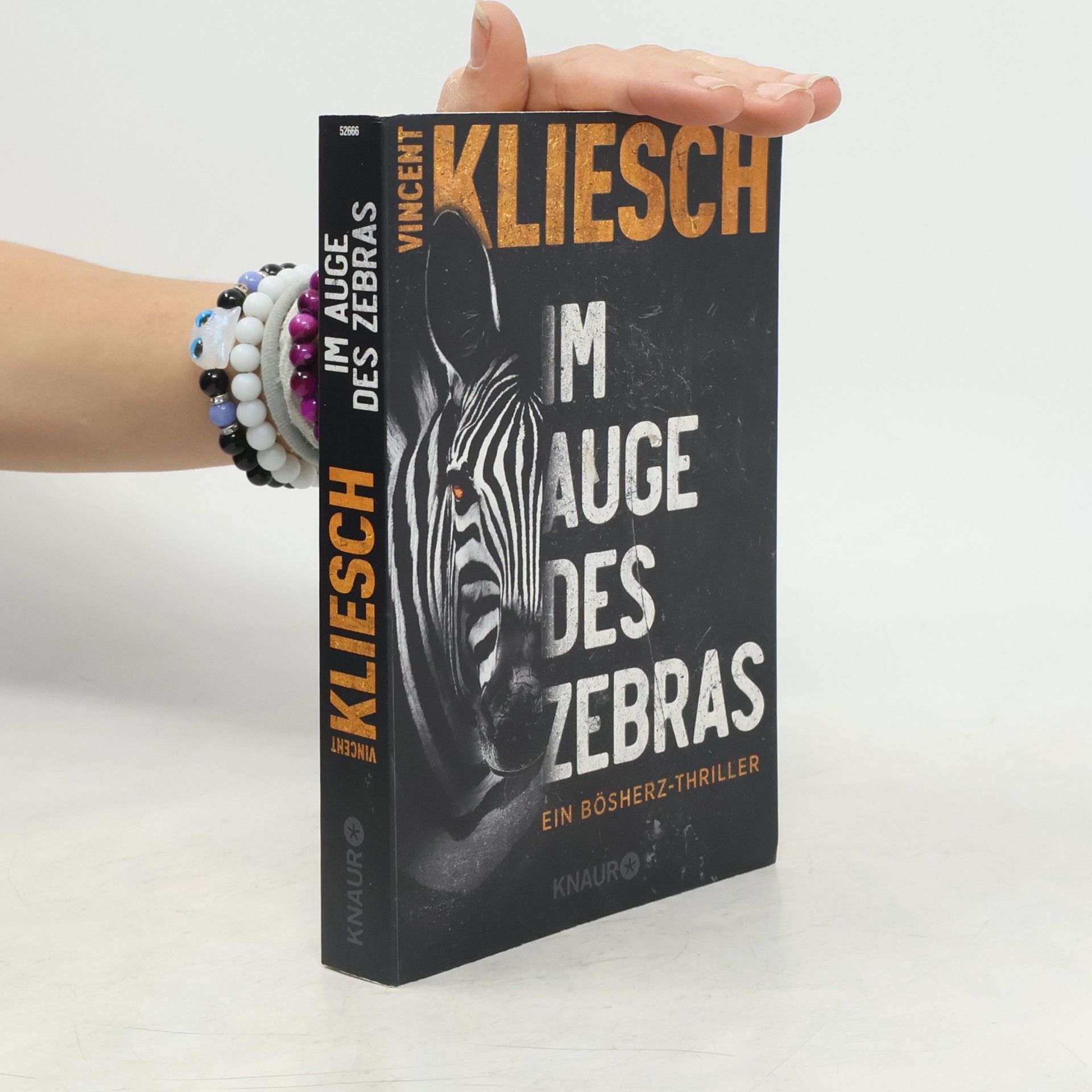 Vincent Kliesch Im Auge des Zebras