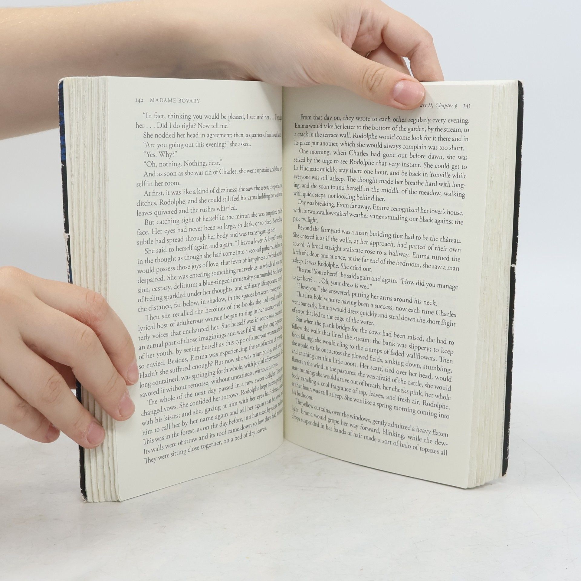 Gustave Flaubert Madame Bovary