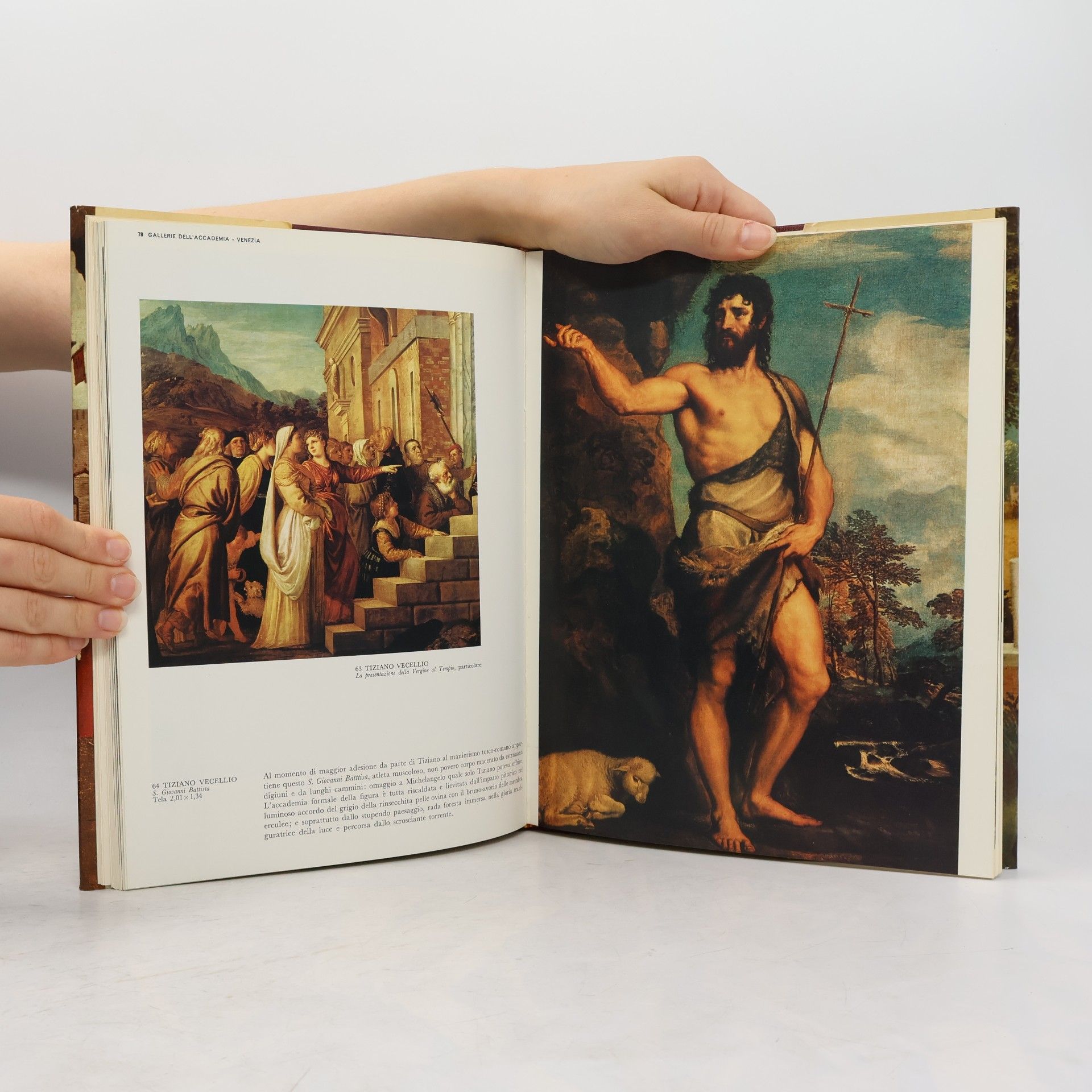 Francesco Valcanover Gallerie dell´accademia Venezia