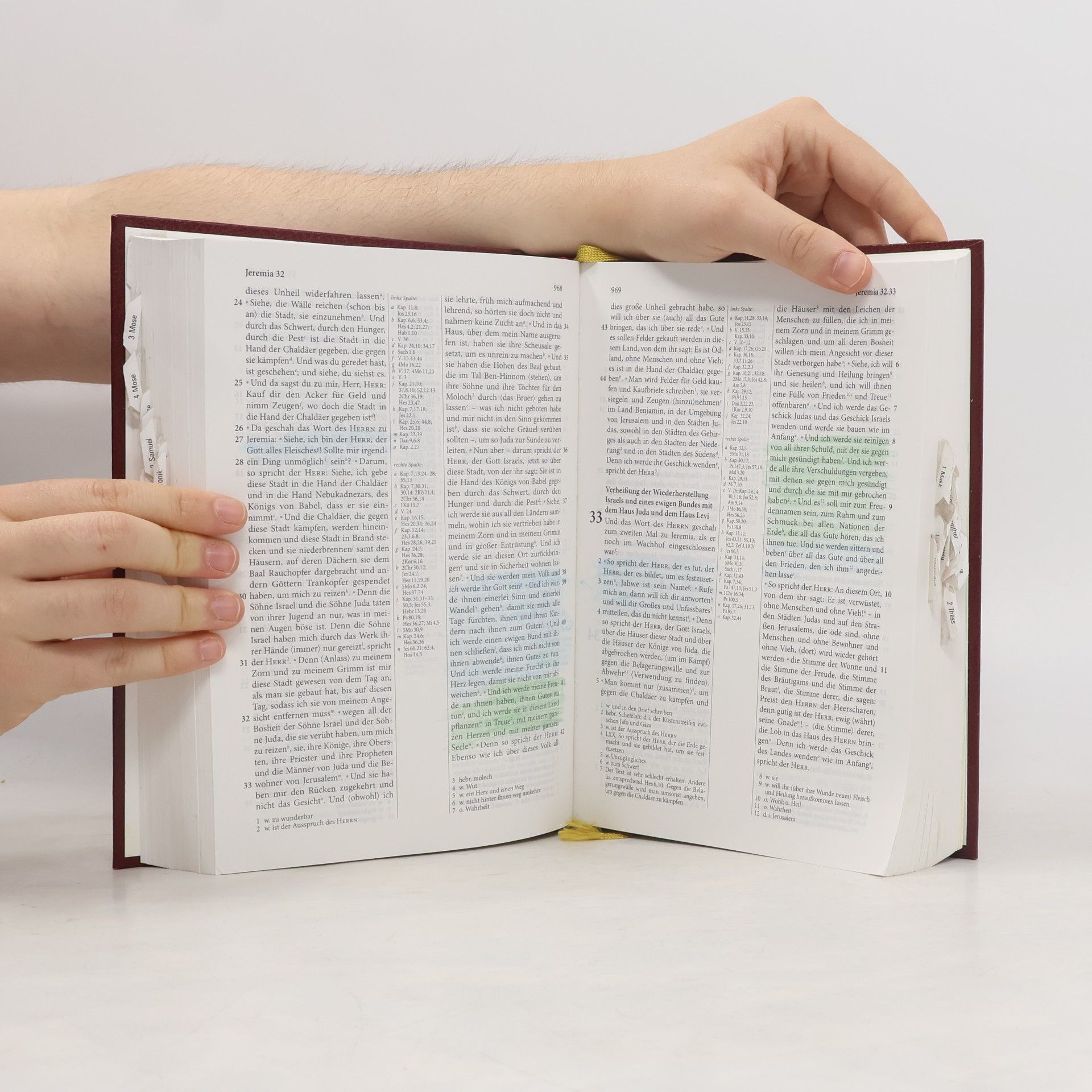 Elberfelder Bibel - Standardausgabe Leder Goldschnitt: Revision 2006