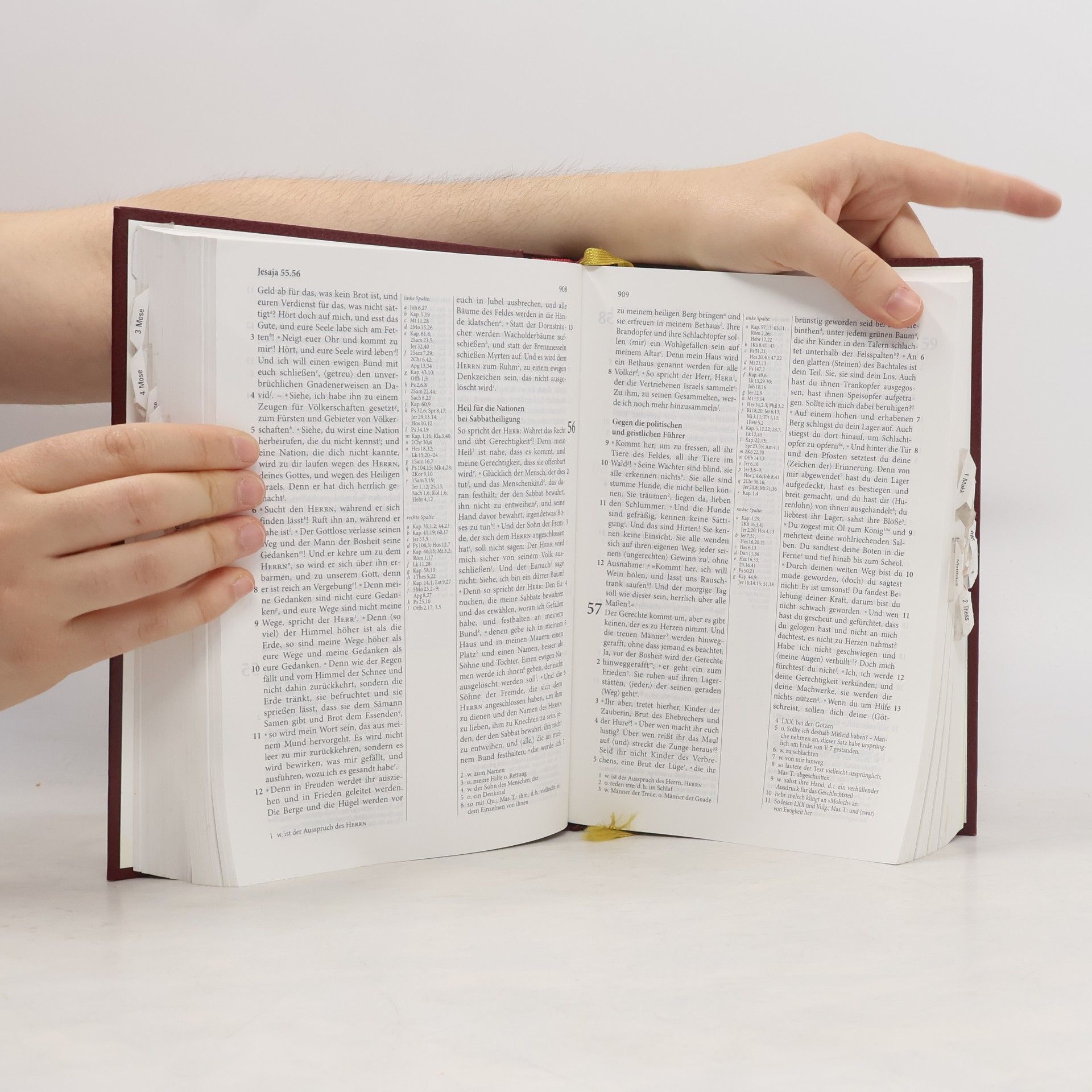 Elberfelder Bibel - Standardausgabe Leder Goldschnitt: Revision 2006