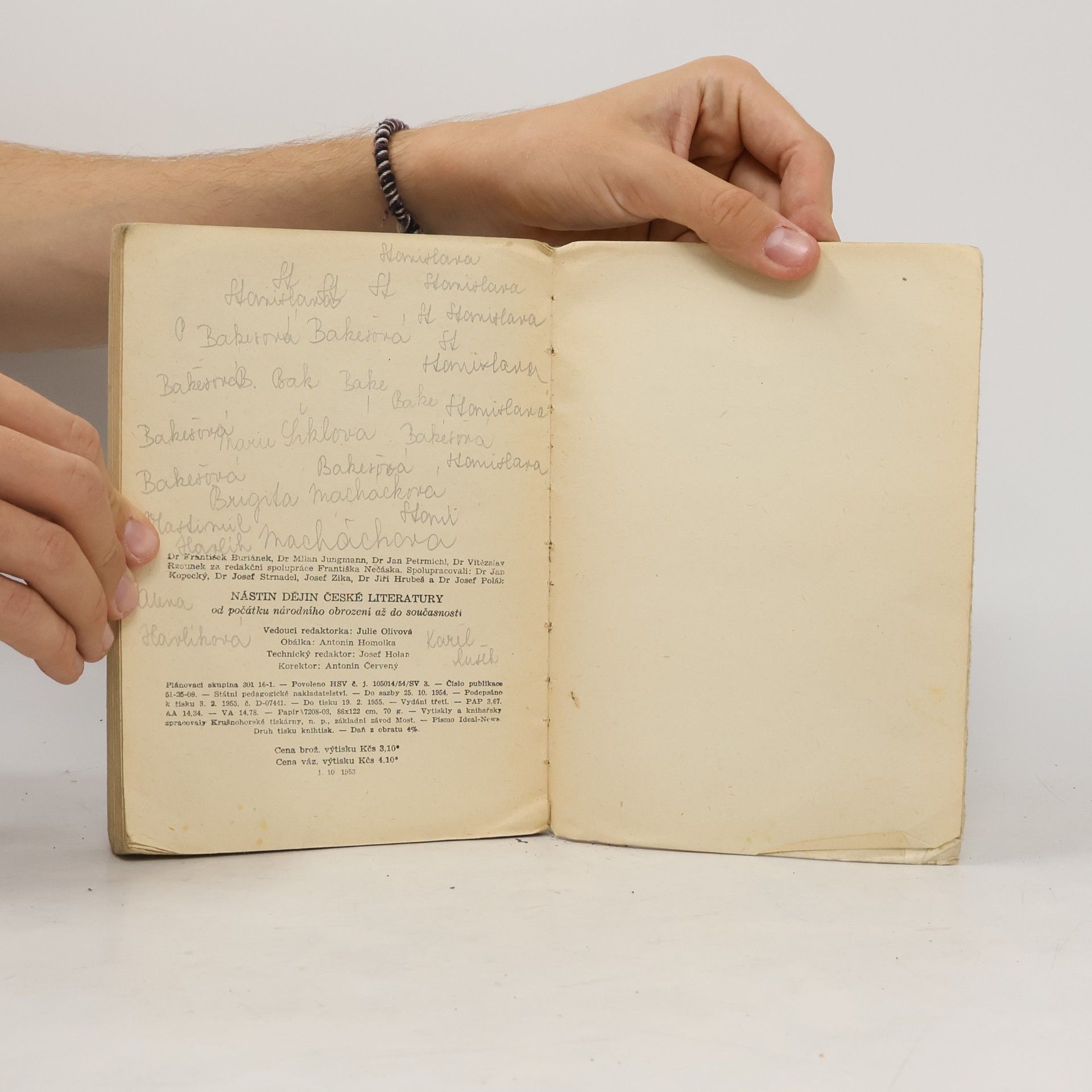 Auteurscollectief Nástin dějin české literatury. Od počátku národního obrození až do současnosti