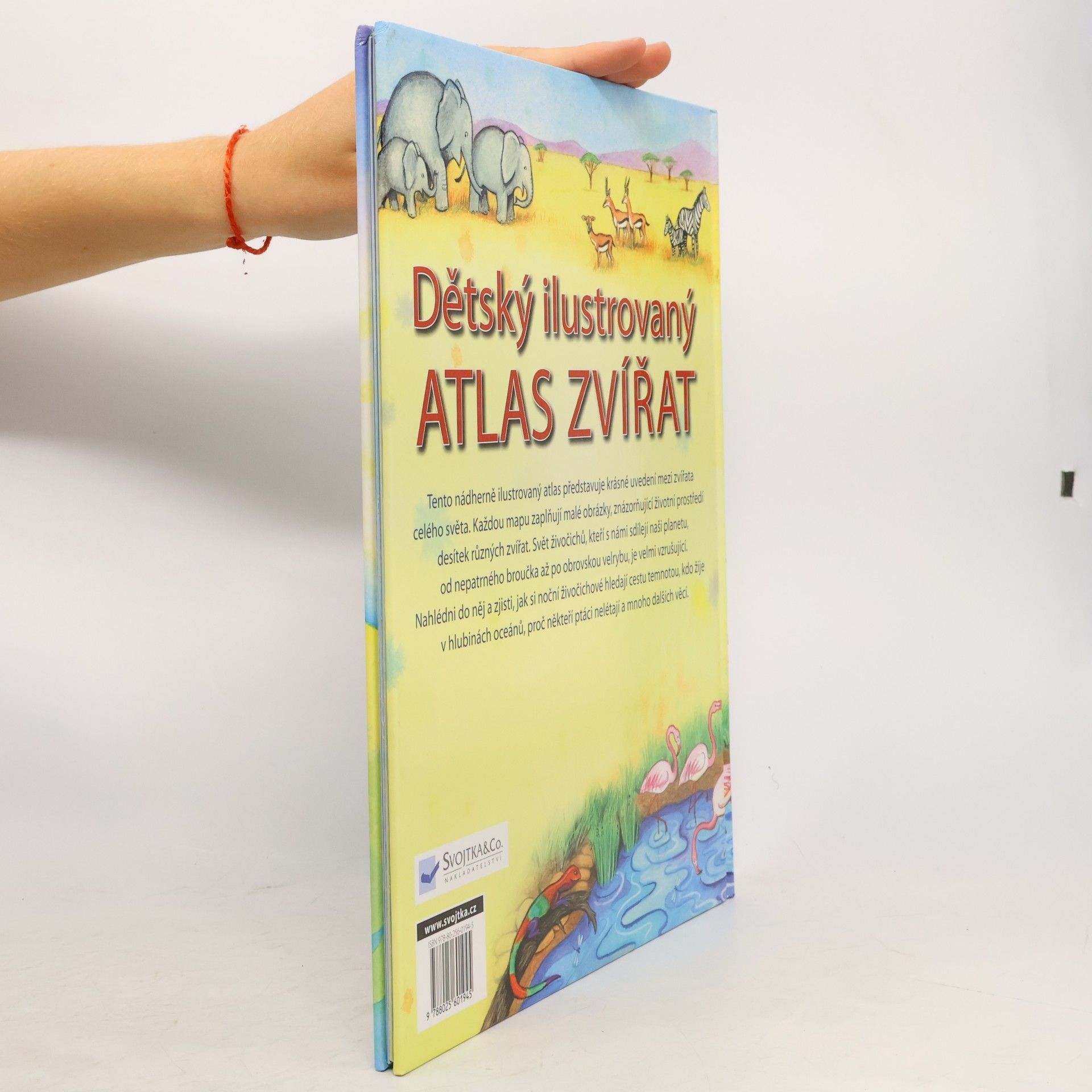 Autorenkollektiv Dětský ilustrovaný atlas zvířat