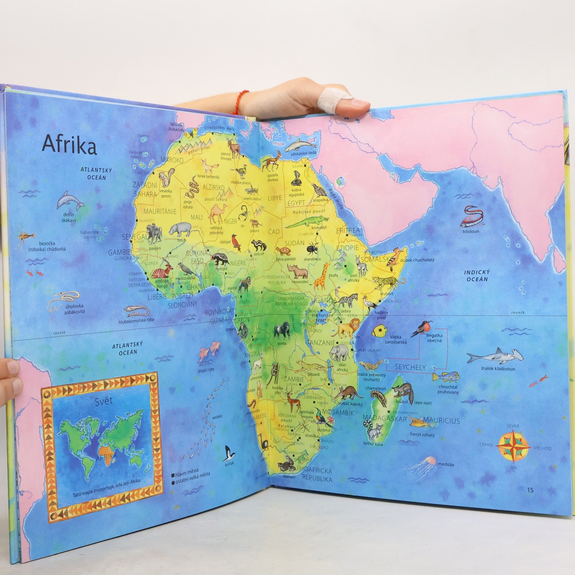 Autorenkollektiv Dětský ilustrovaný atlas zvířat