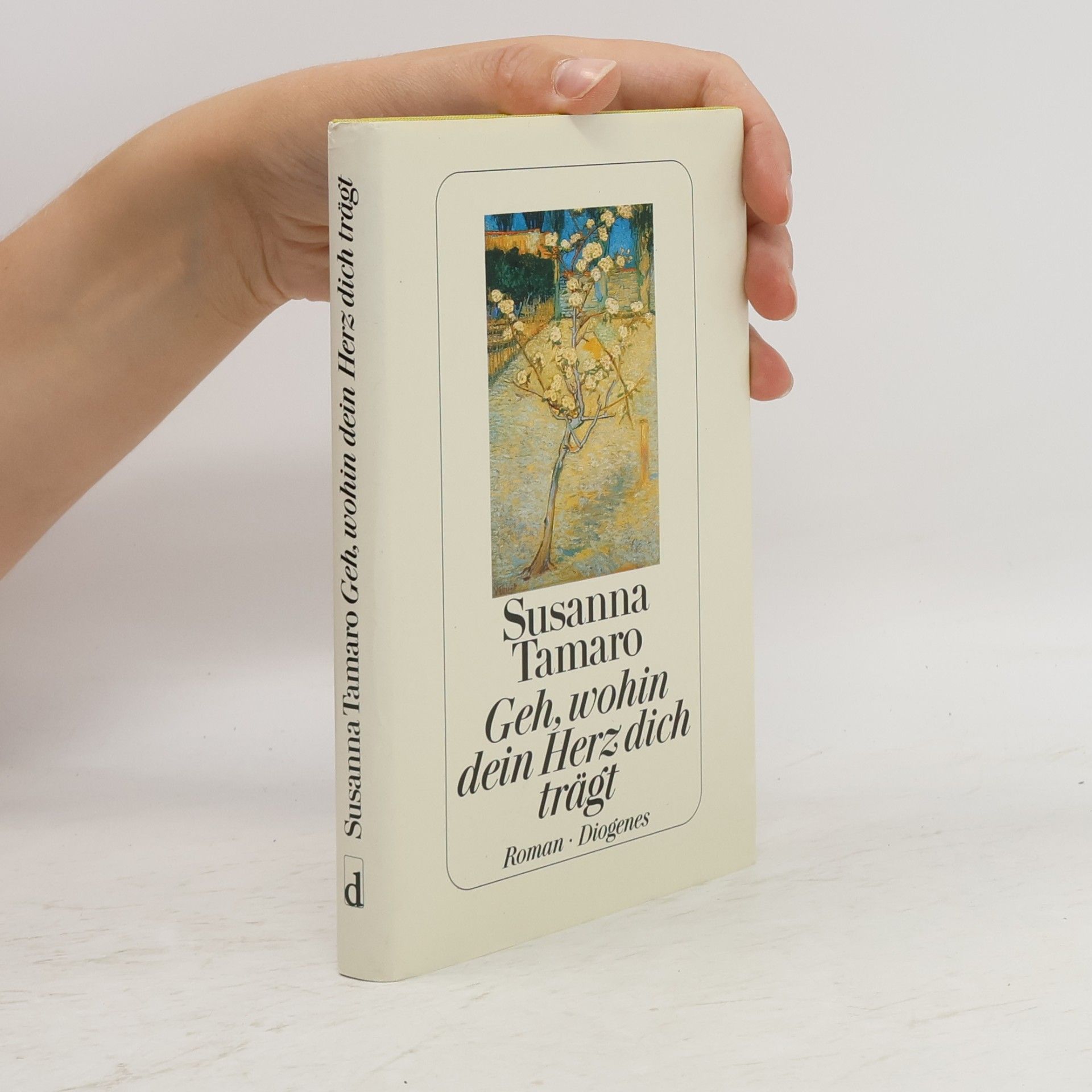 Susanna Tamaro Geh, wohin dein Herz dich trägt
