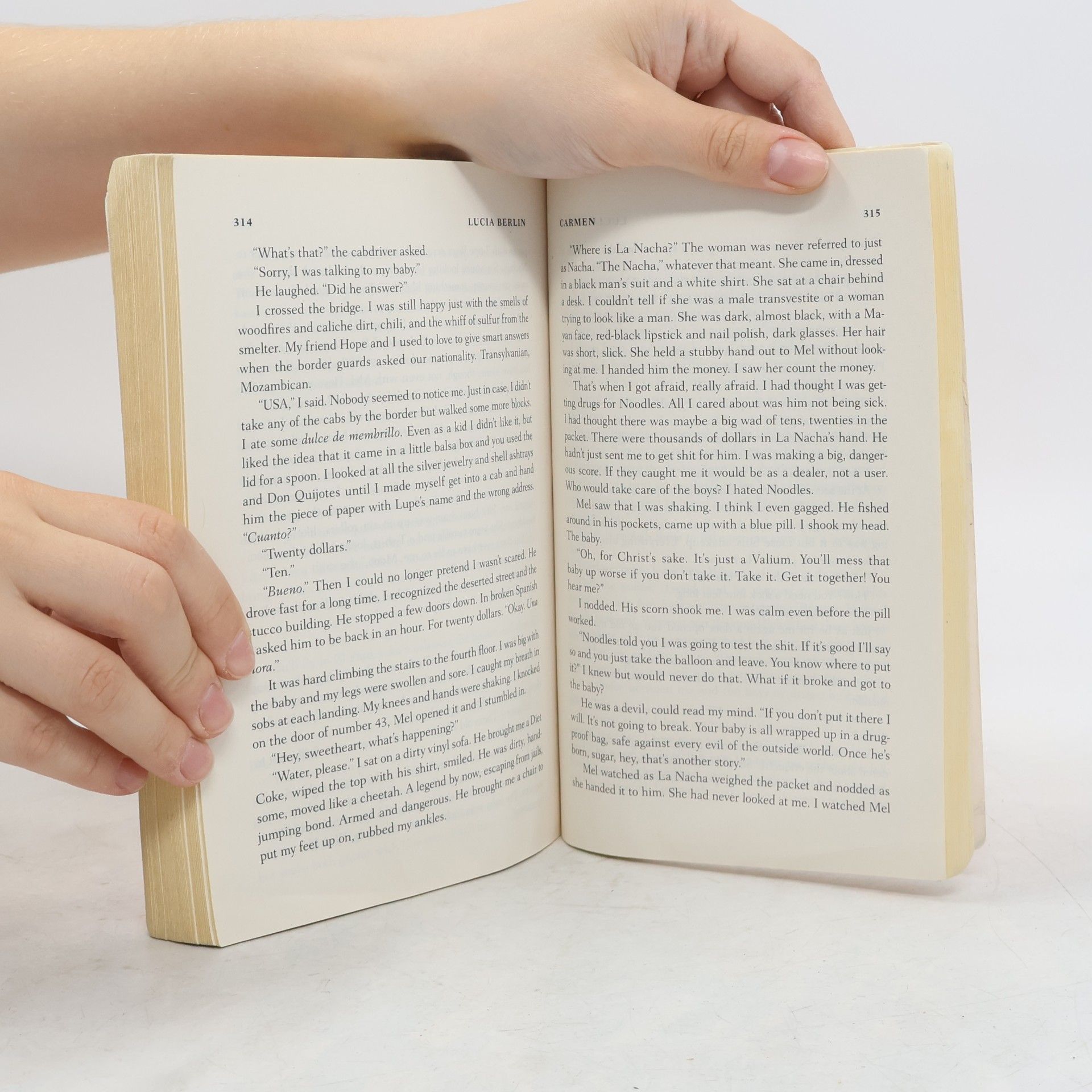 Lucia Berlin A Manual for Cleaning Women
