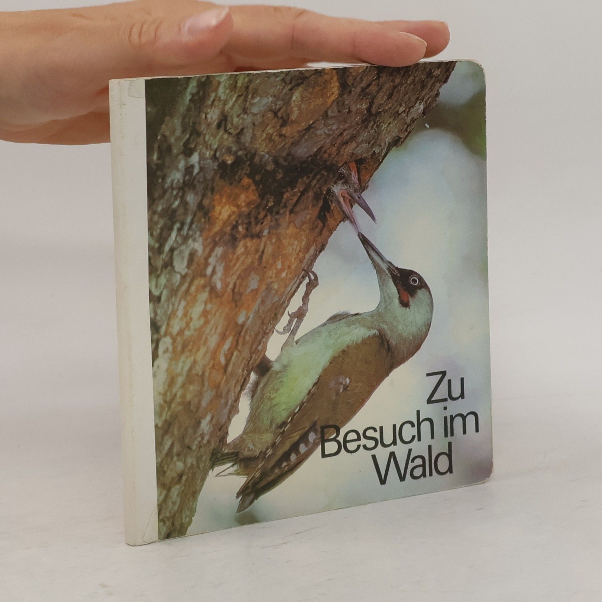 Autores varios Zu Besuch im Wald