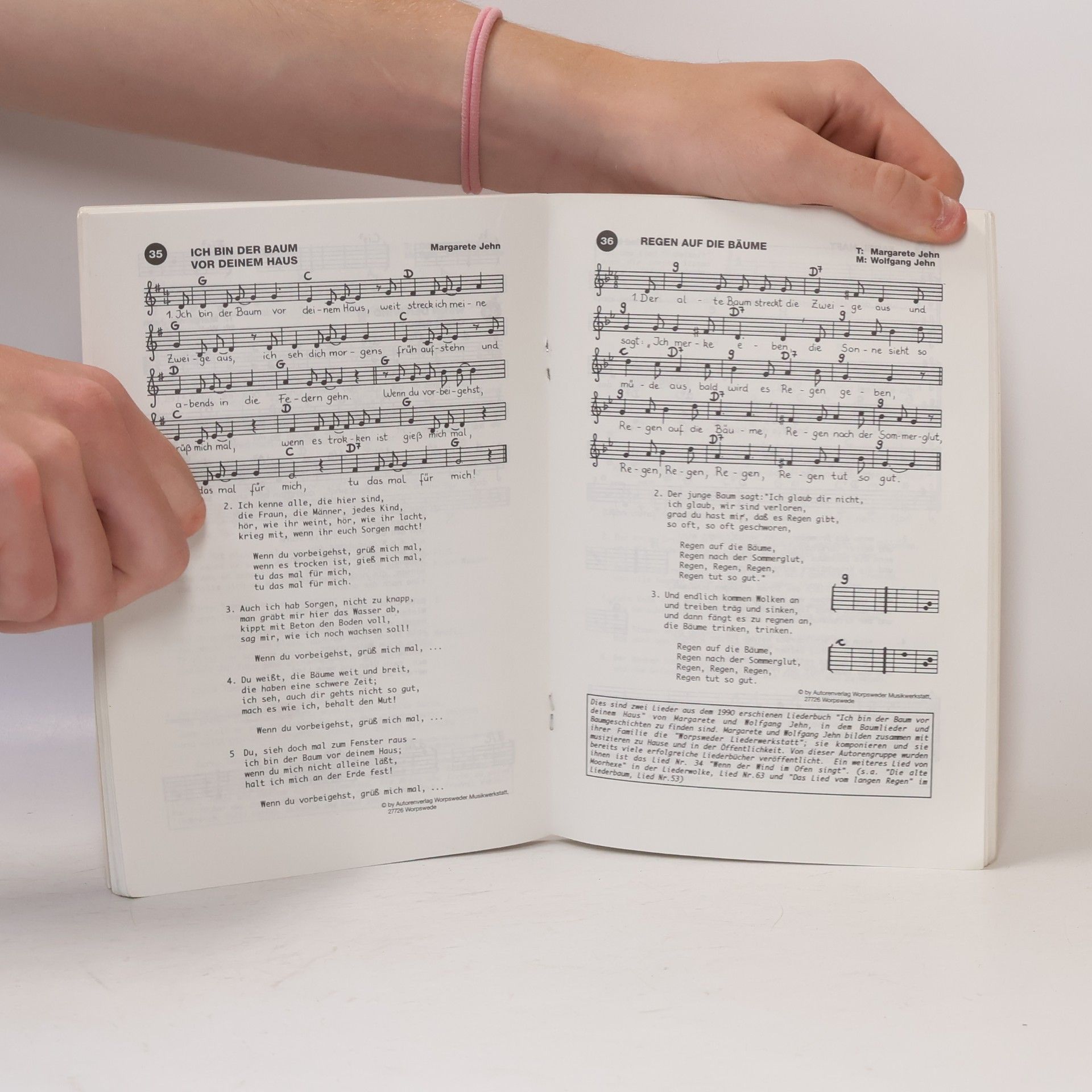 Autorenkollektiv Liederbuch 10. Liederstrauß.