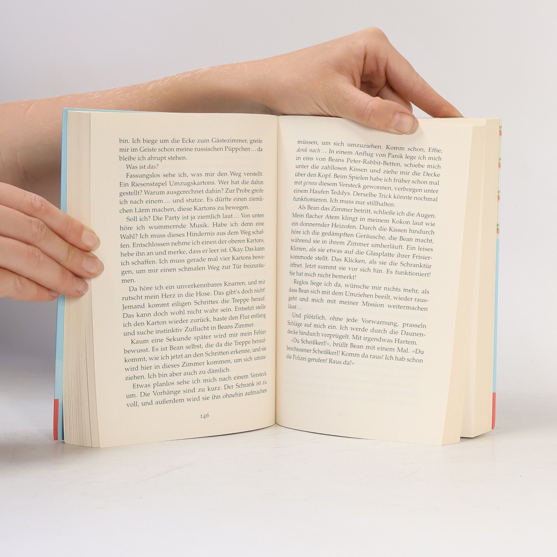 Sophie Kinsella Die Familienfeier