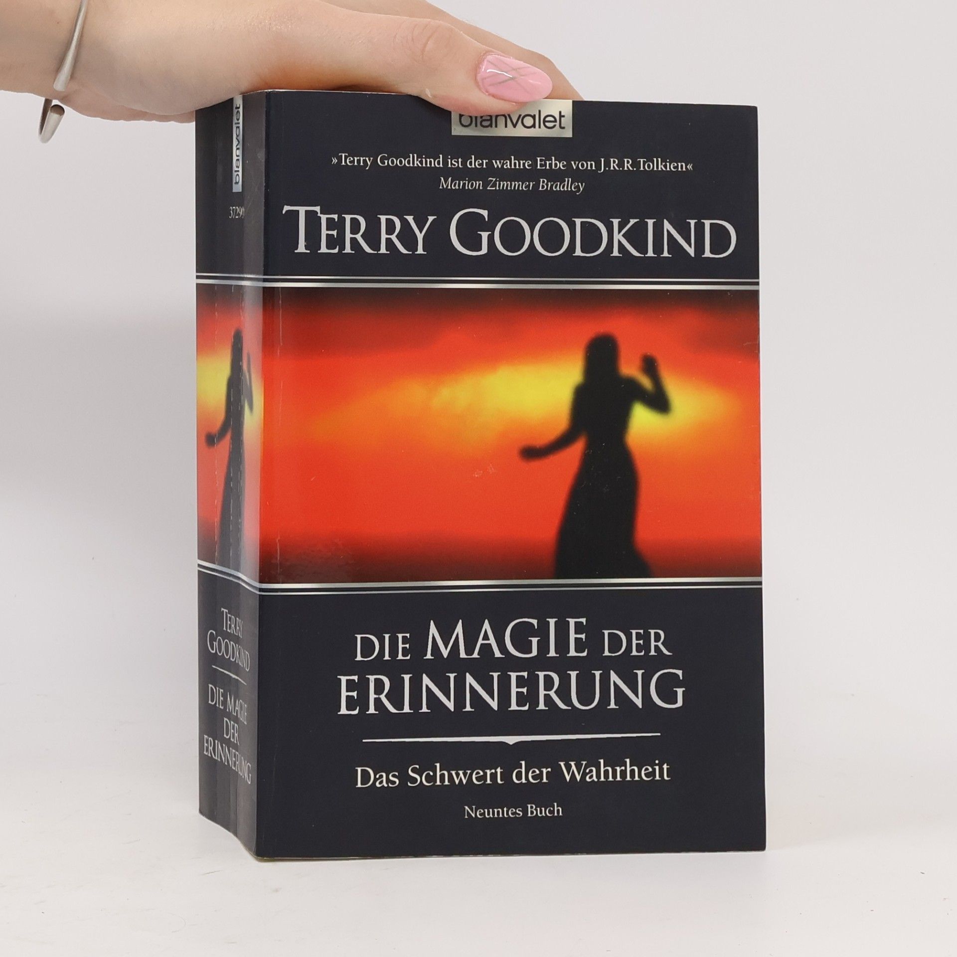 Terry Goodkind Die Magie der Erinnerung