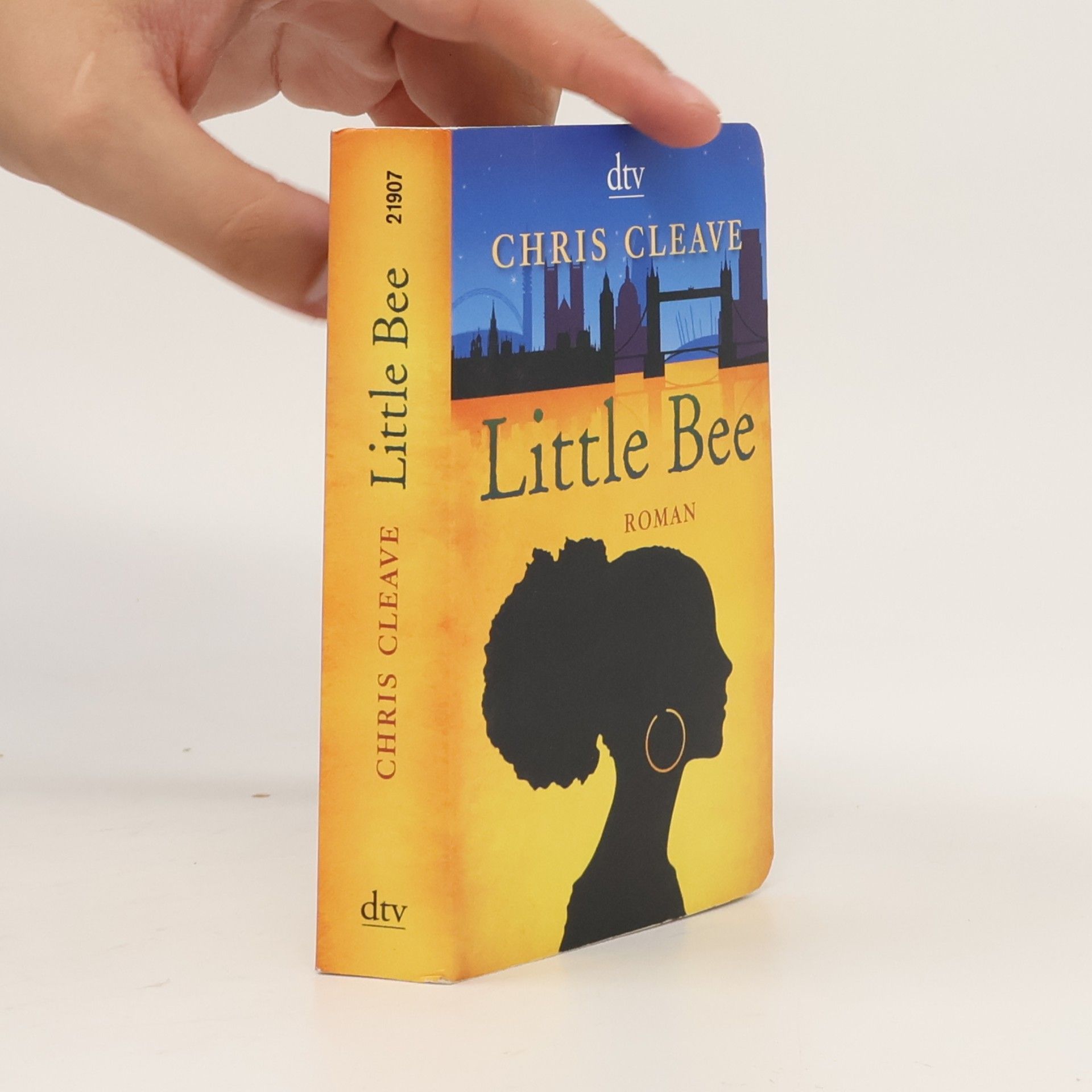 Chris Cleave Little Bee
