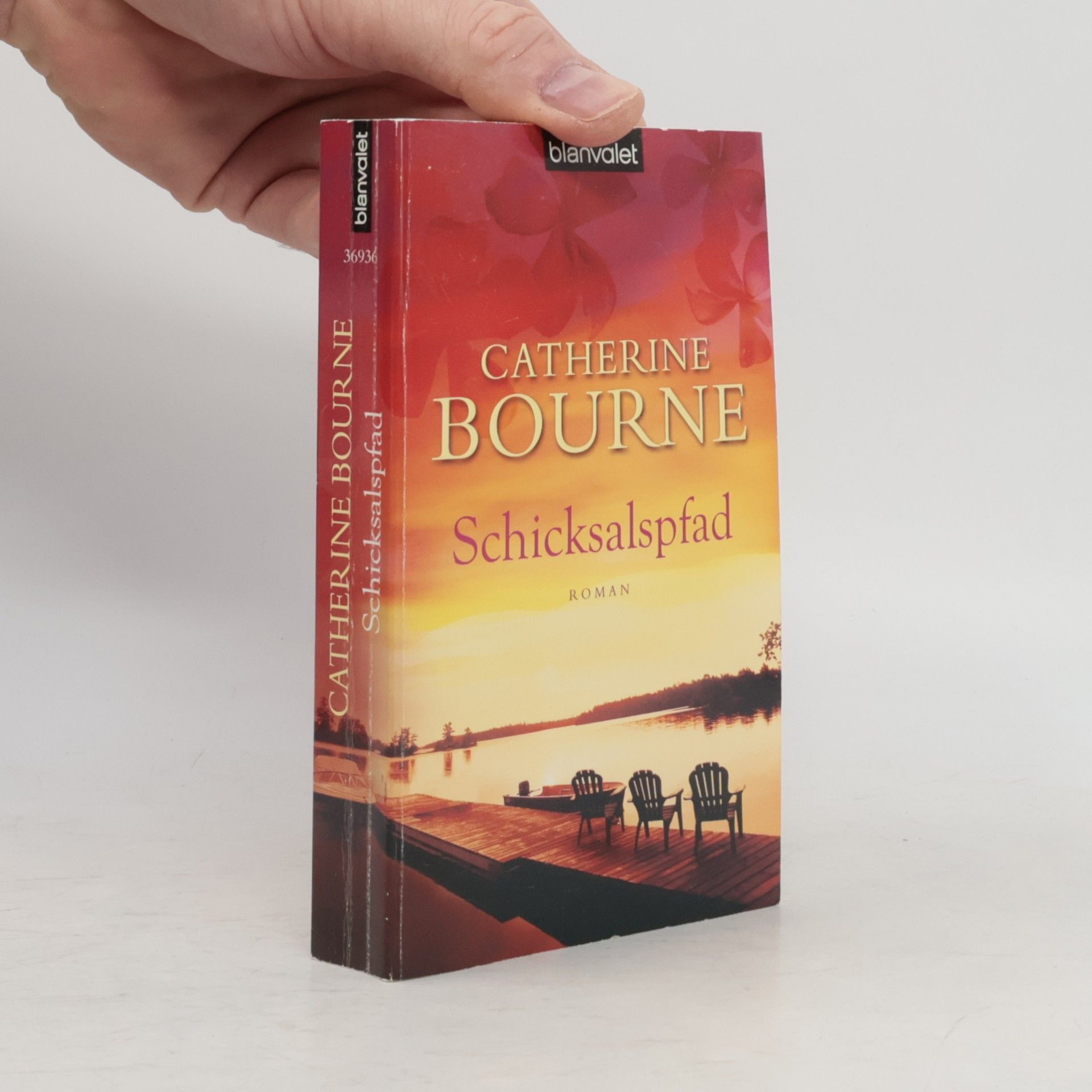 Catherine Bourne Schicksalspfad. Roman