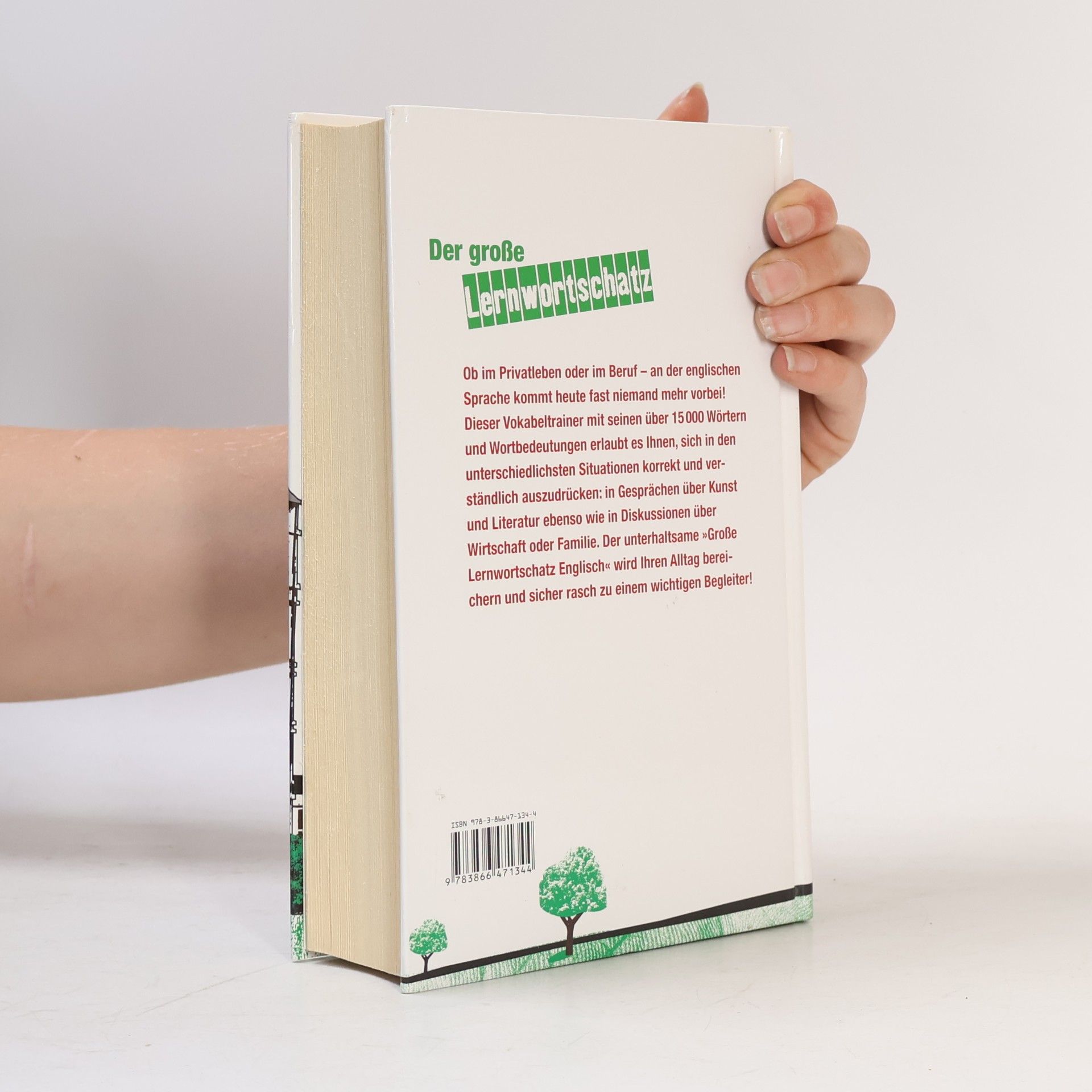 Marion Hoffmann-Weiß Der große Lernwortschatz Englisch