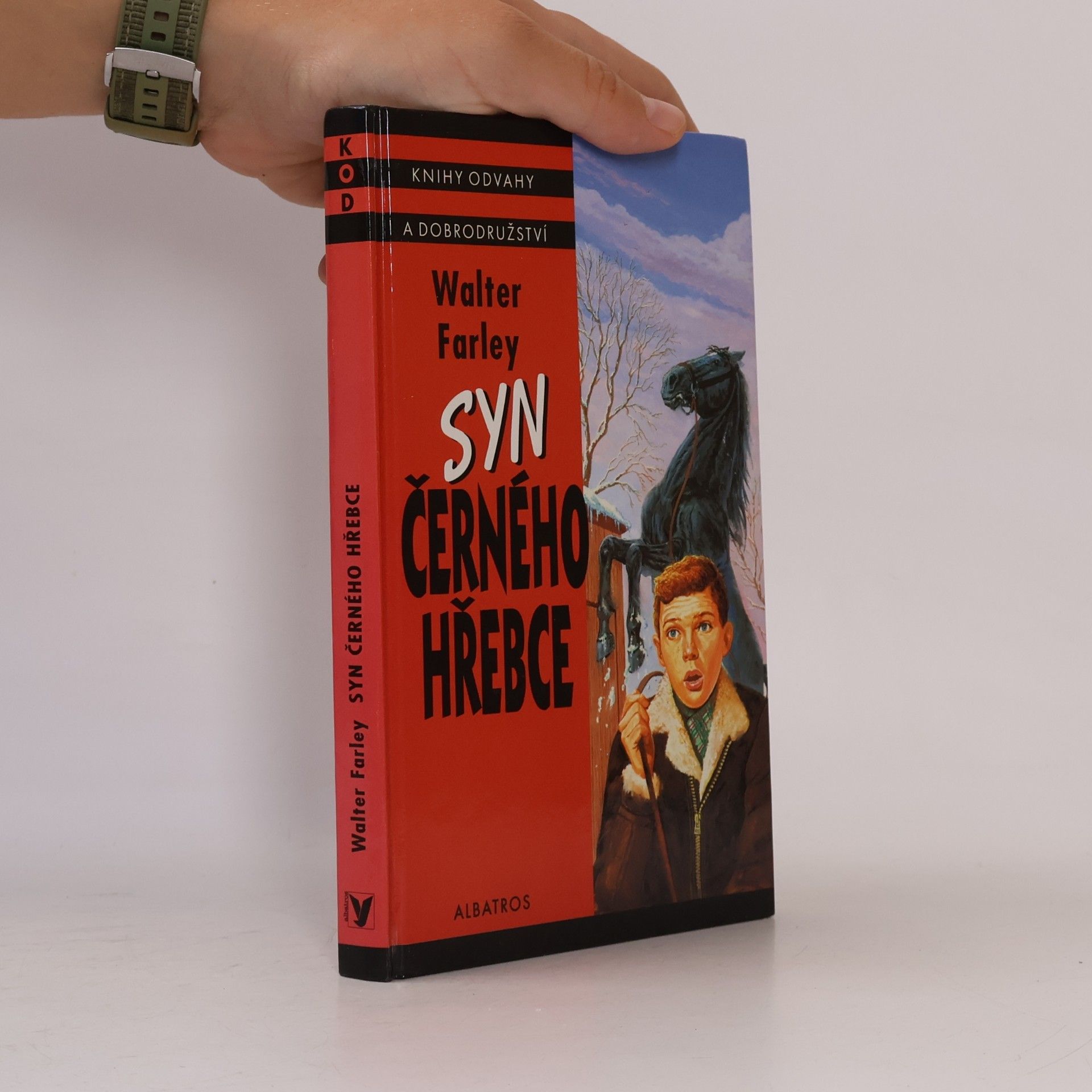 Walter Farley Syn černého hřebce