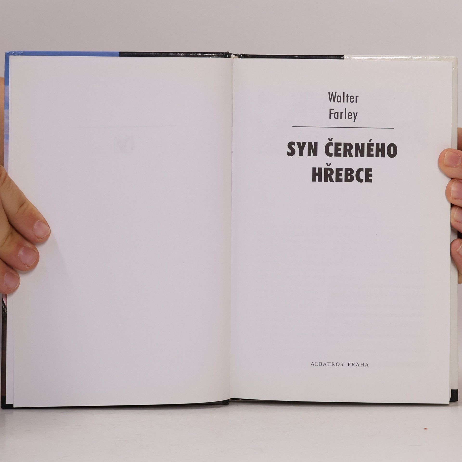Walter Farley Syn černého hřebce