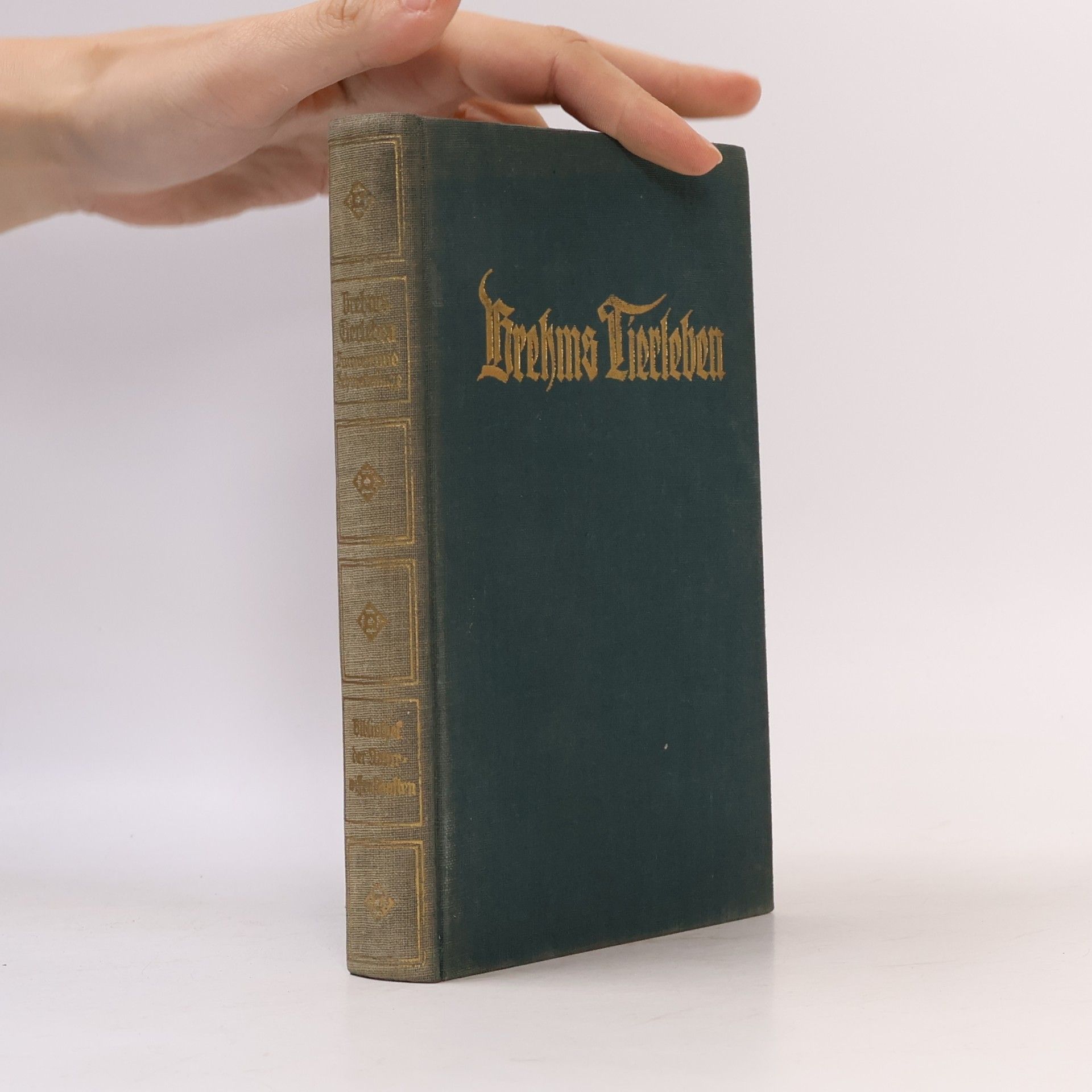 Adolf Meyer Brehms Tierleben 27