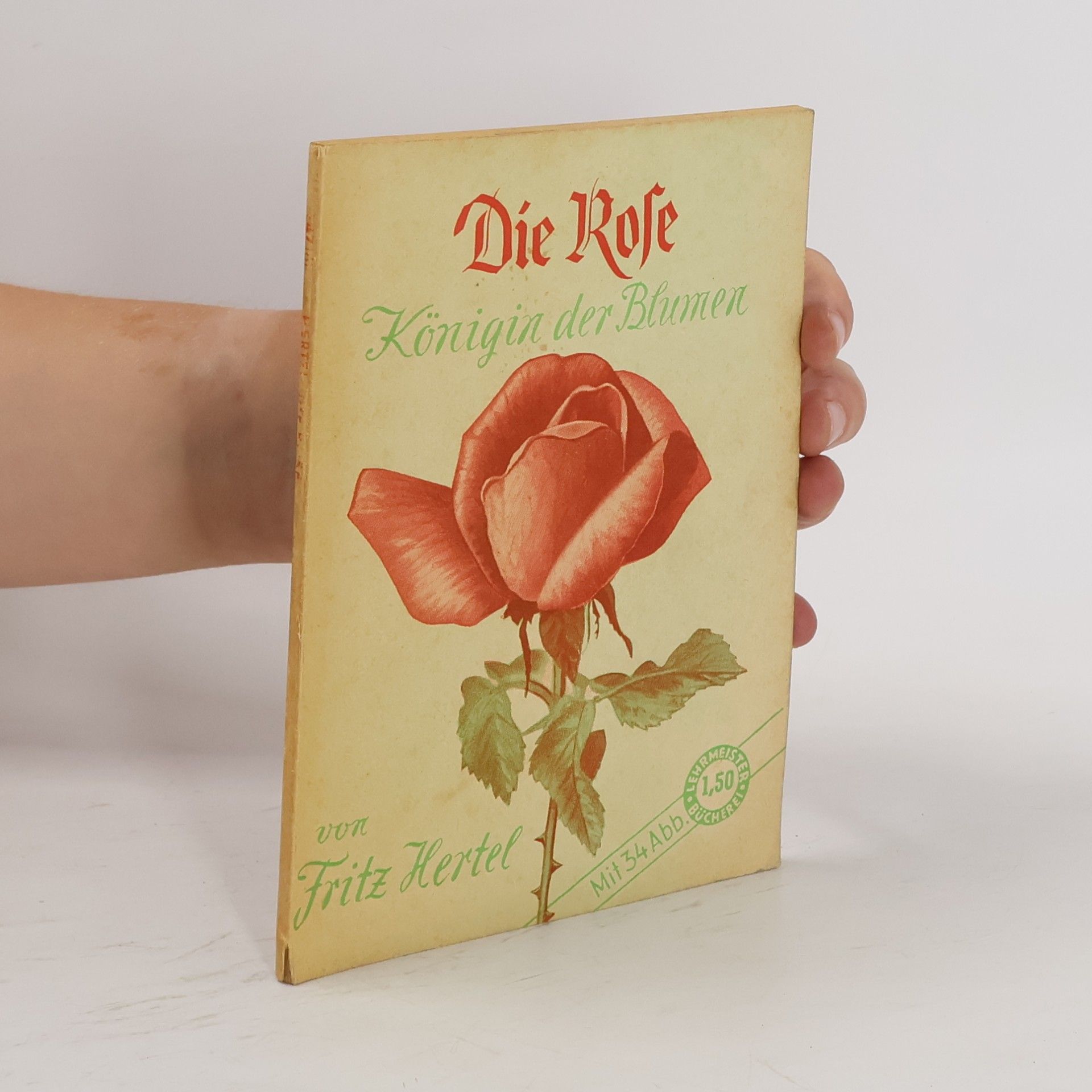 Fritz Hertel Die Rose