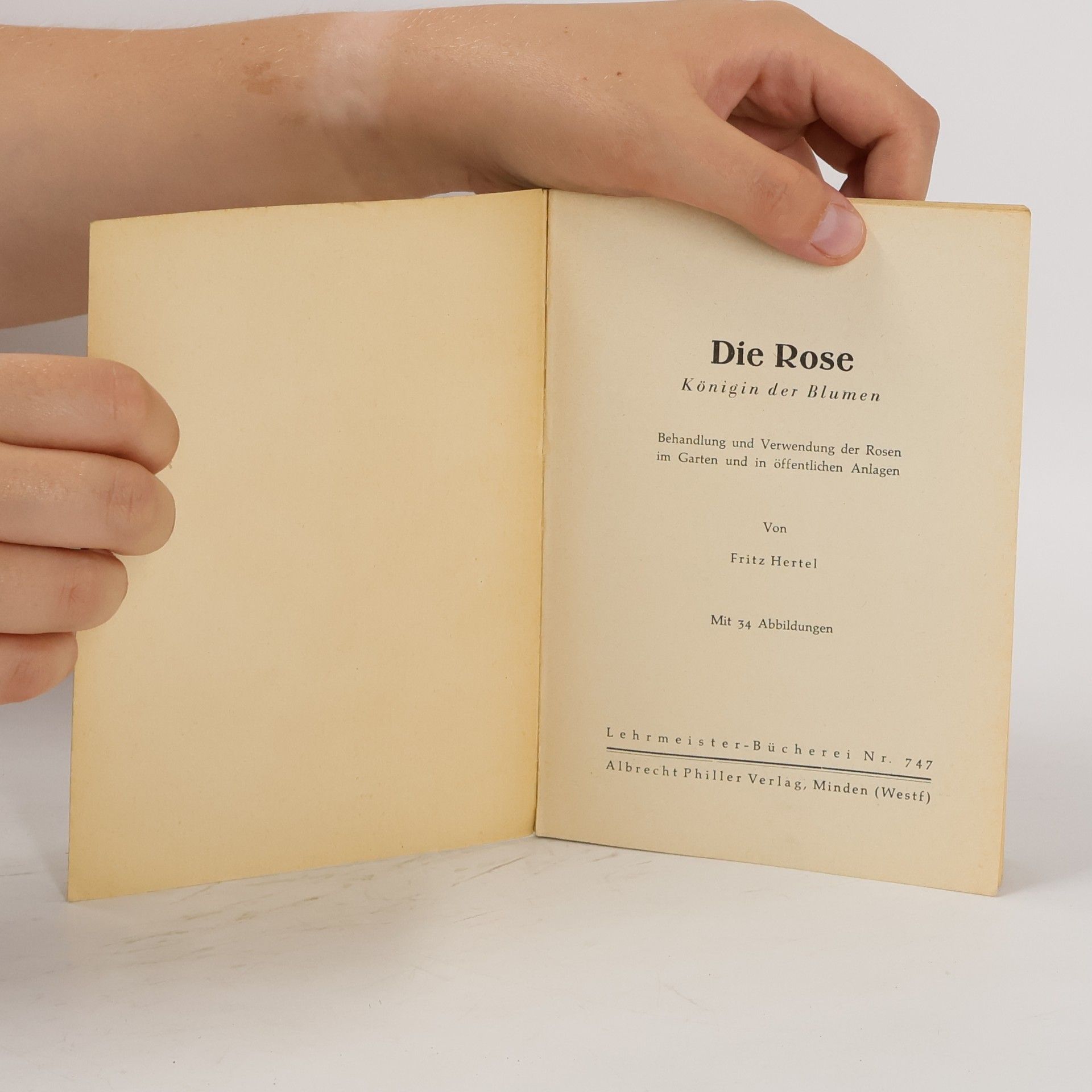 Fritz Hertel Die Rose