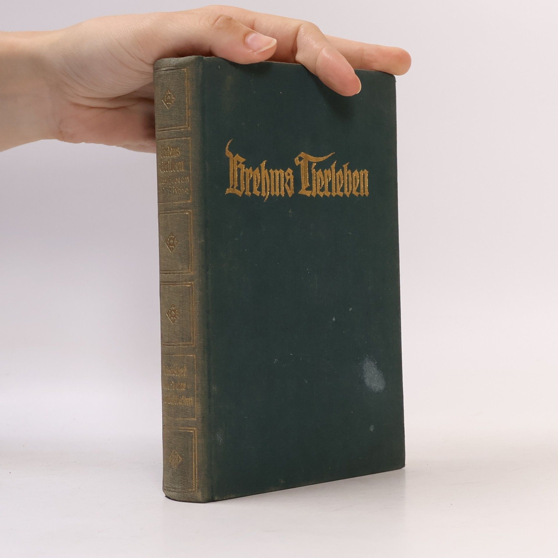Alfred Edmund Brehm Brehms Tierleben Band 23