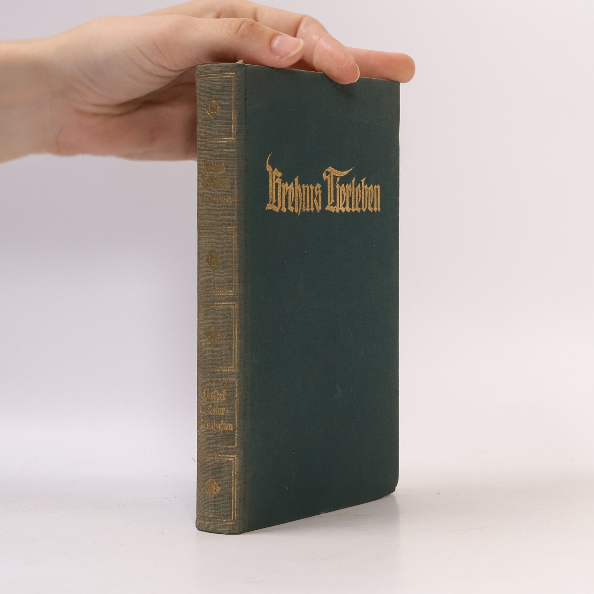 Adolf Meyer Brehms Tierleben. Band 21