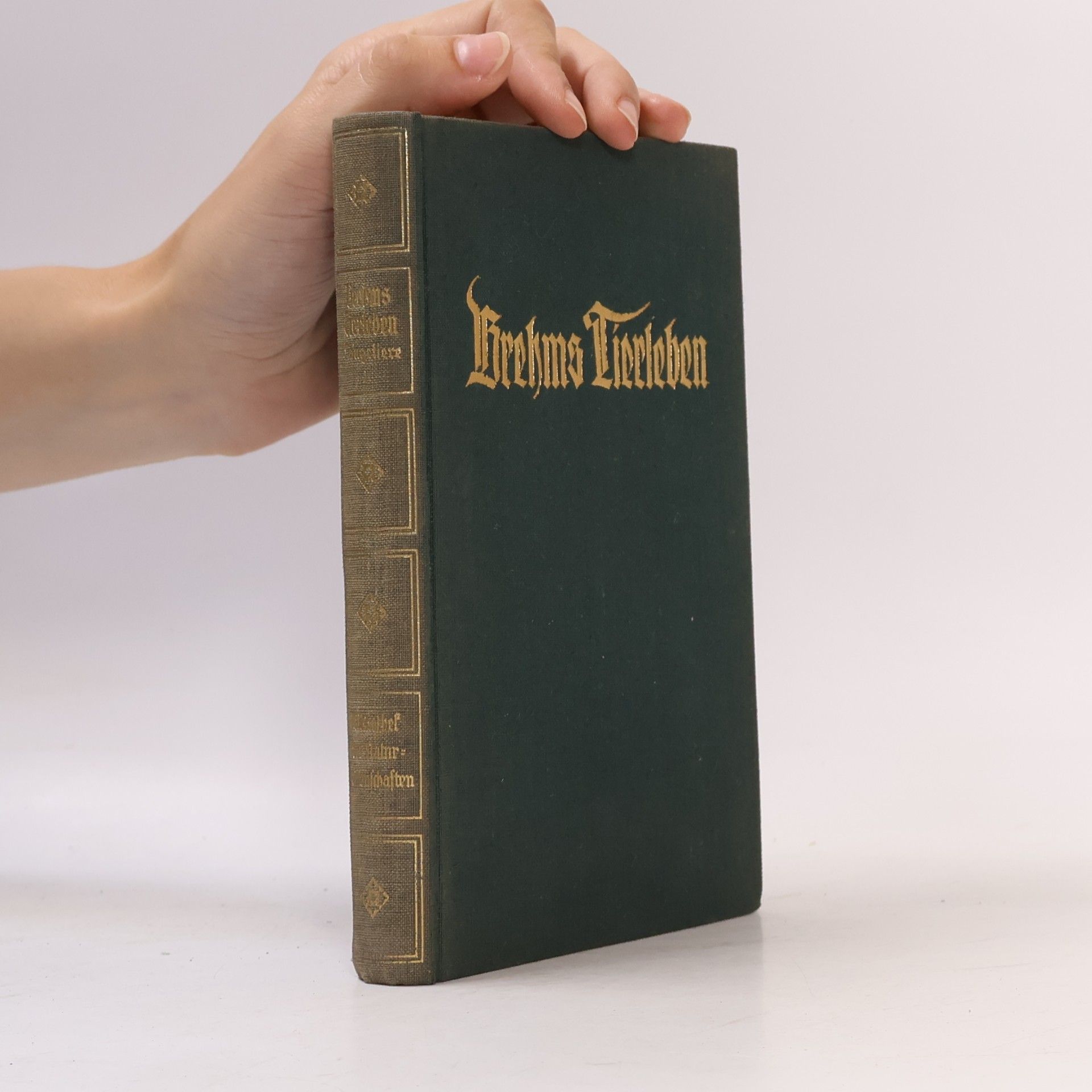 E. L. Taschenberg Brehms Tierleben. Band 1