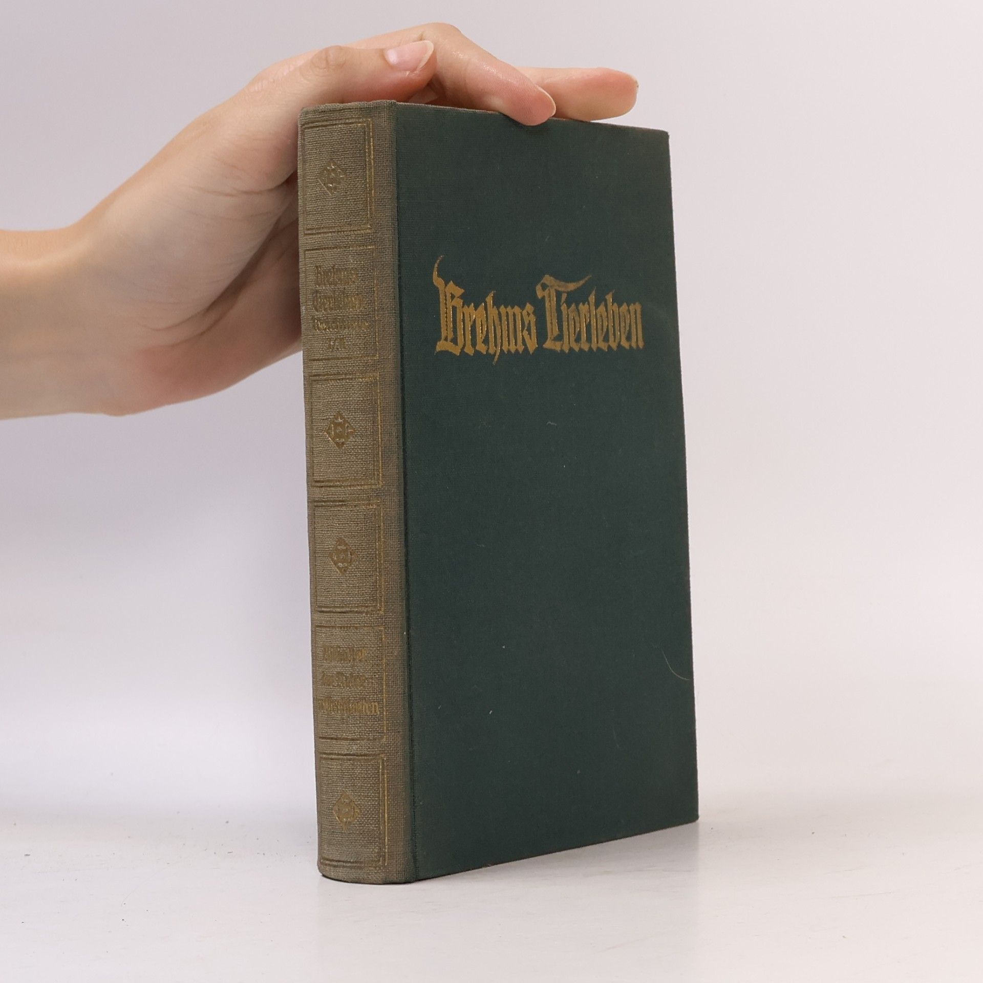 Alfred Edmund Brehm Brehms Tierleben 33