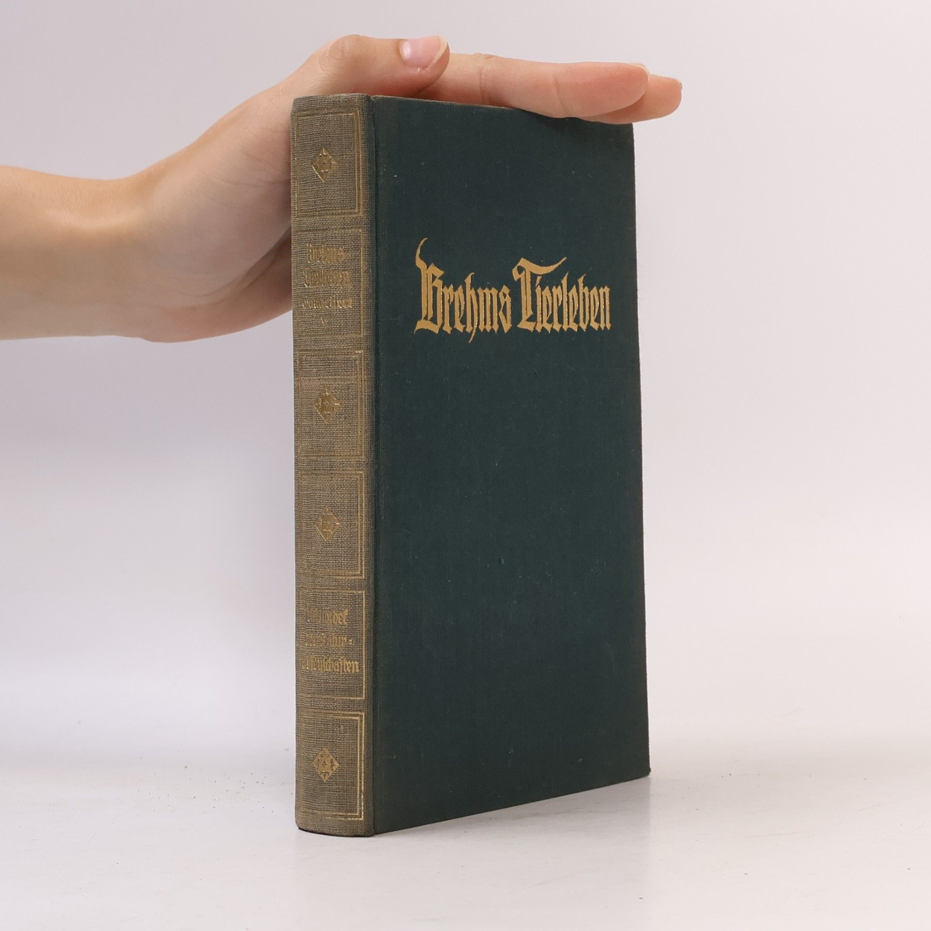 Adolf Meyer Brehms Tierleben 9