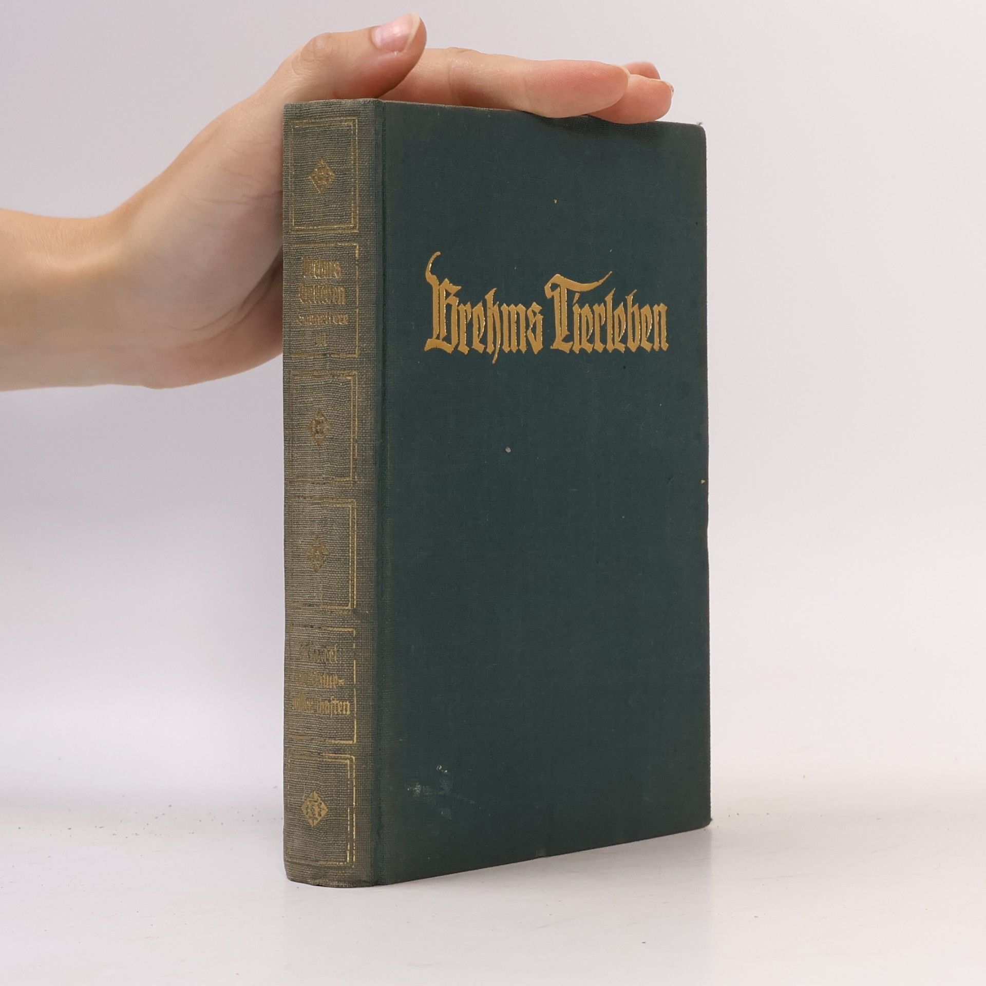 Adolf Meyer Brehms Tierleben 5