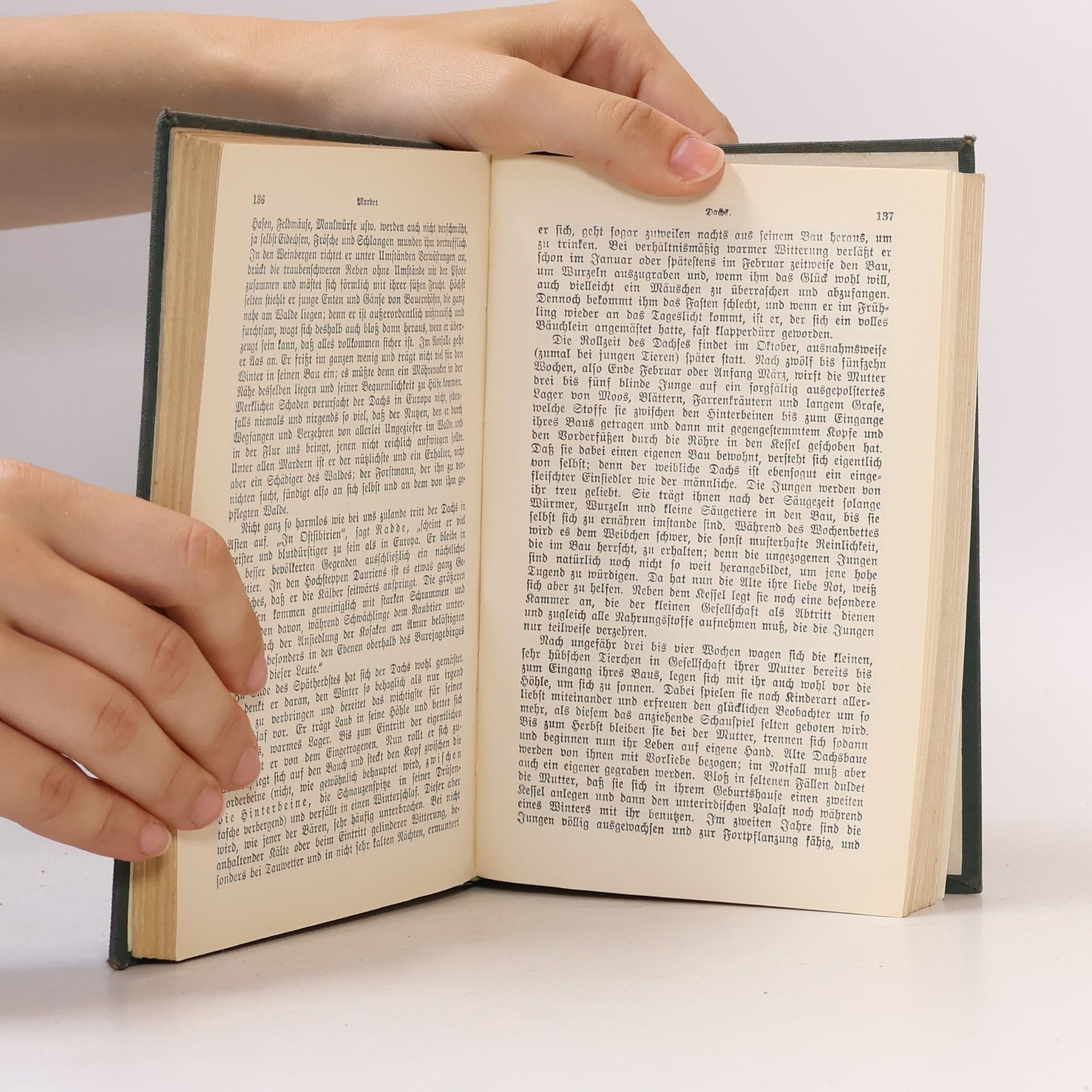 Adolf Meyer Brehms Tierleben 5