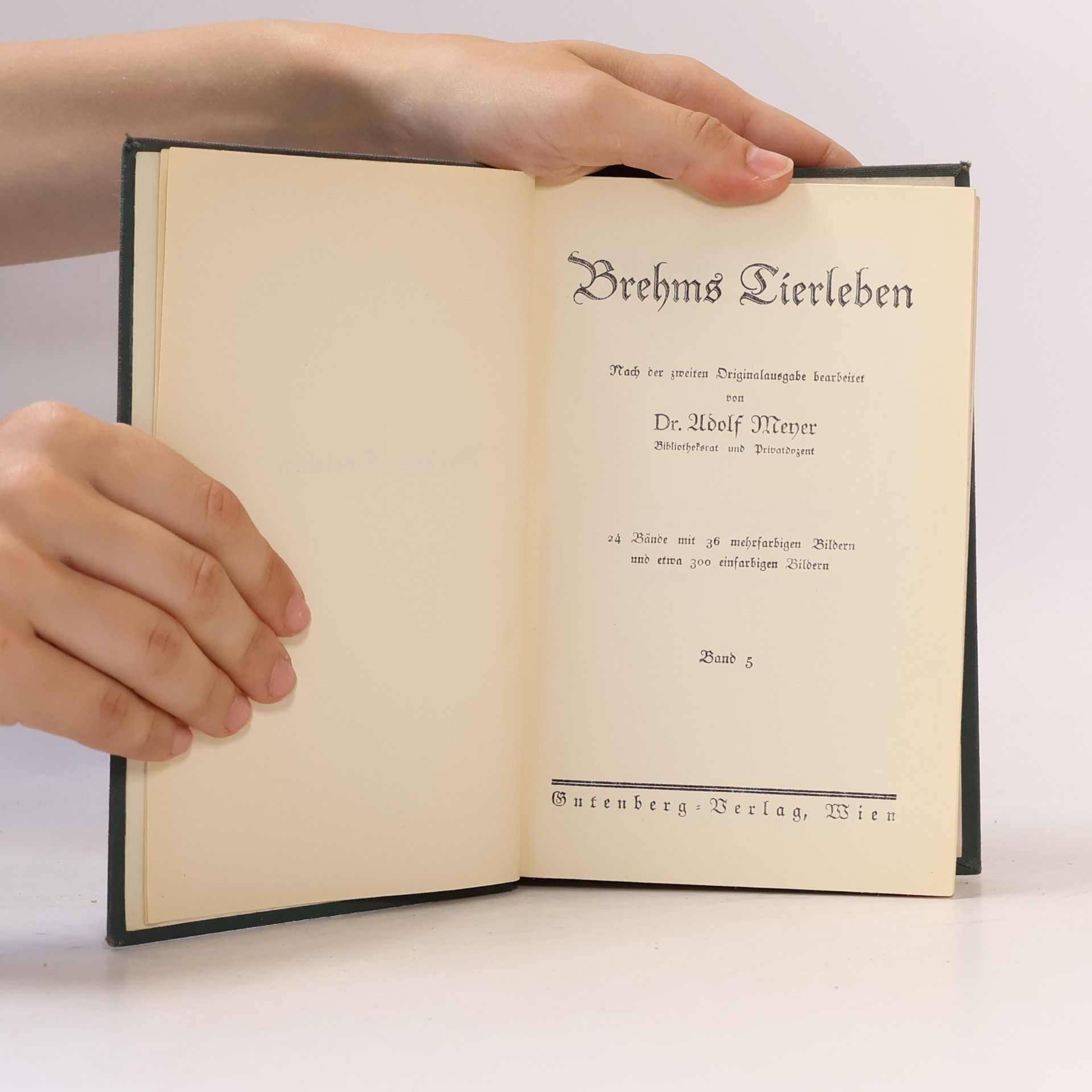 Adolf Meyer Brehms Tierleben 5