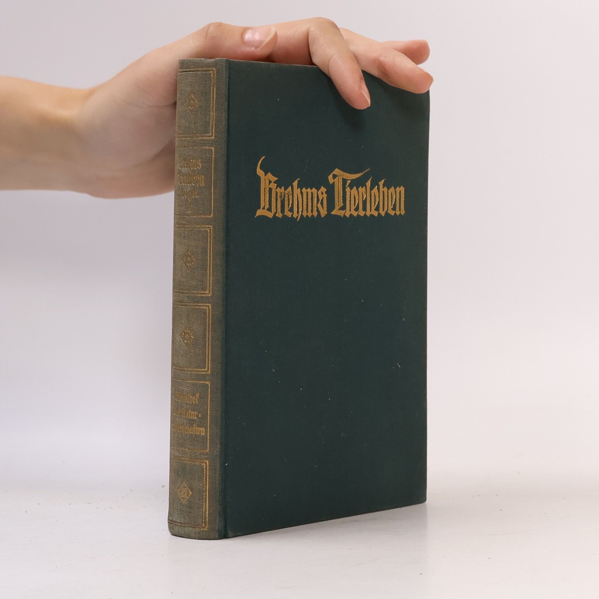 Adolf Meyer Brehms Tierleben. Band 15