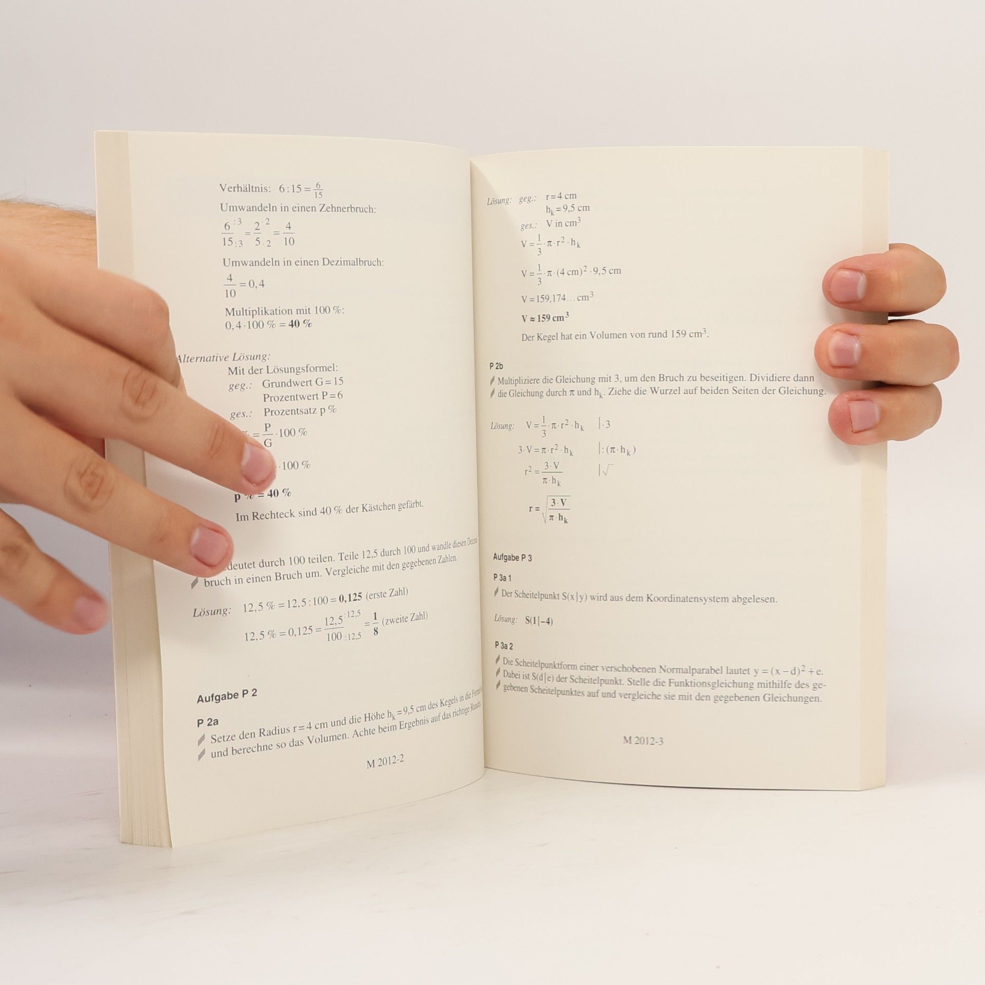 Autorenkollektiv Realschule 2019 - Hessen - Mathematik Lösungsheft