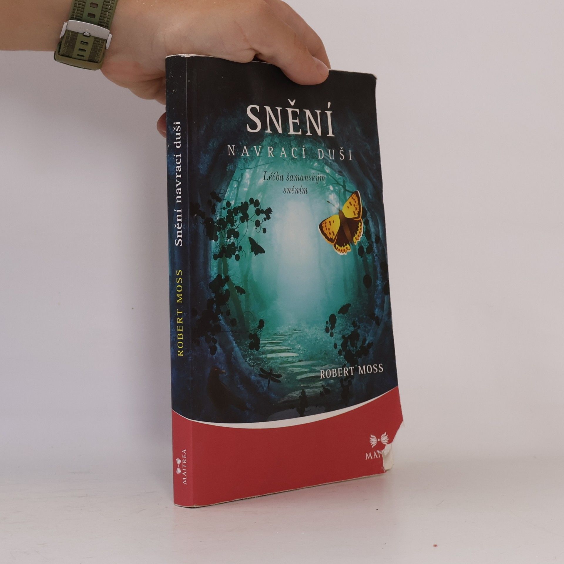 Robert Moss Snění navrací duši. Léčba šamanským sněním