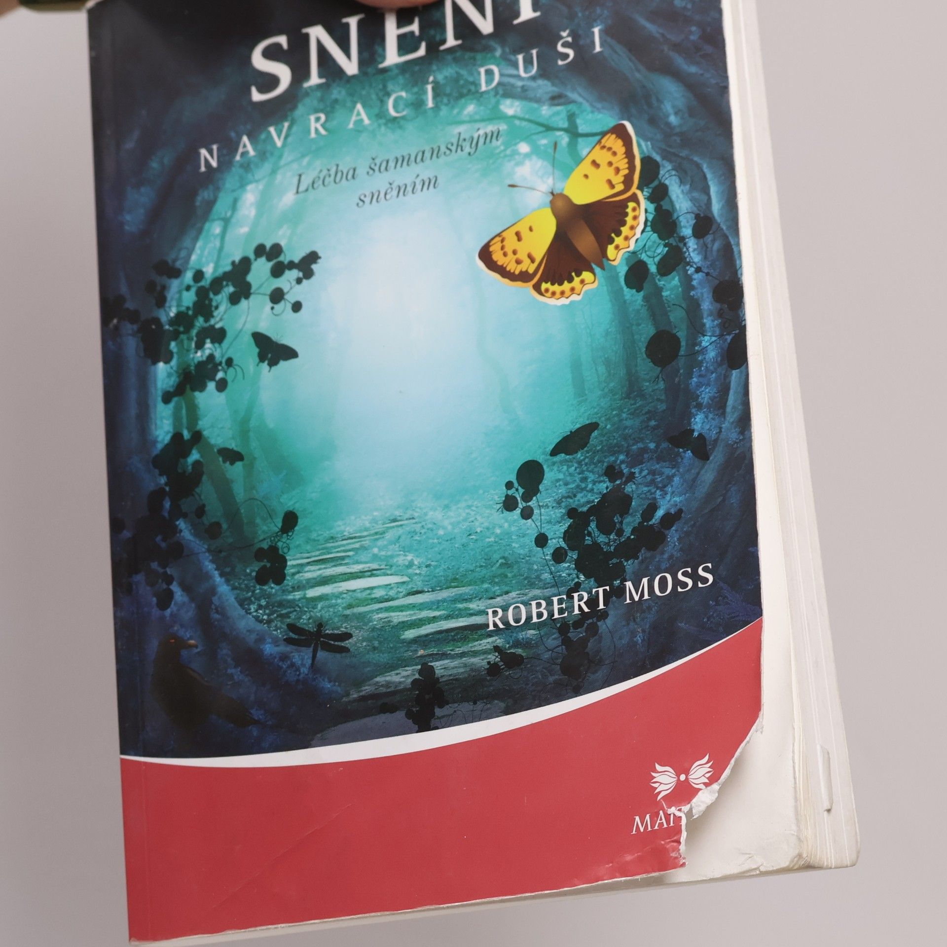 Robert Moss Snění navrací duši. Léčba šamanským sněním
