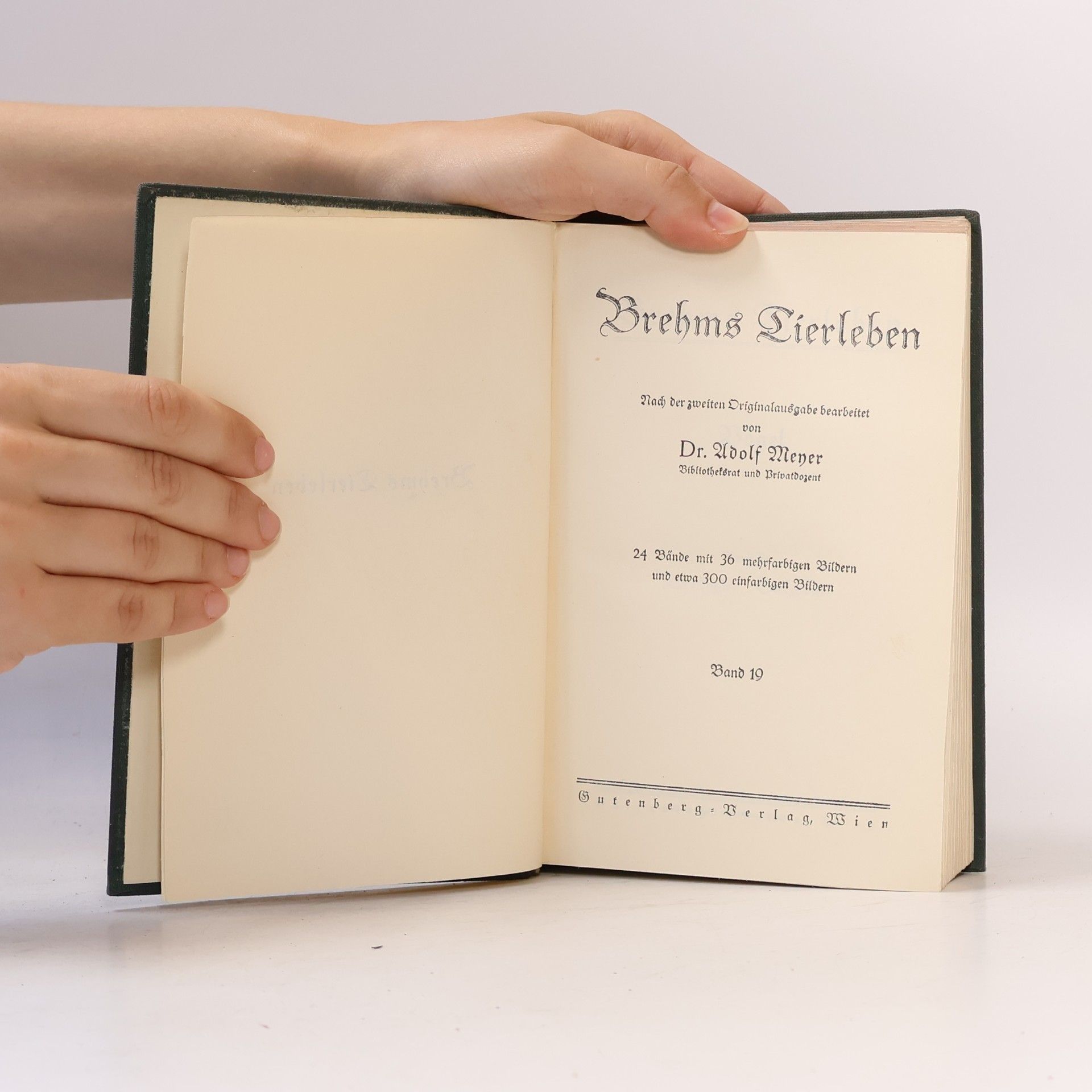 Alfred Edmund Brehm Brehms Tierleben 19