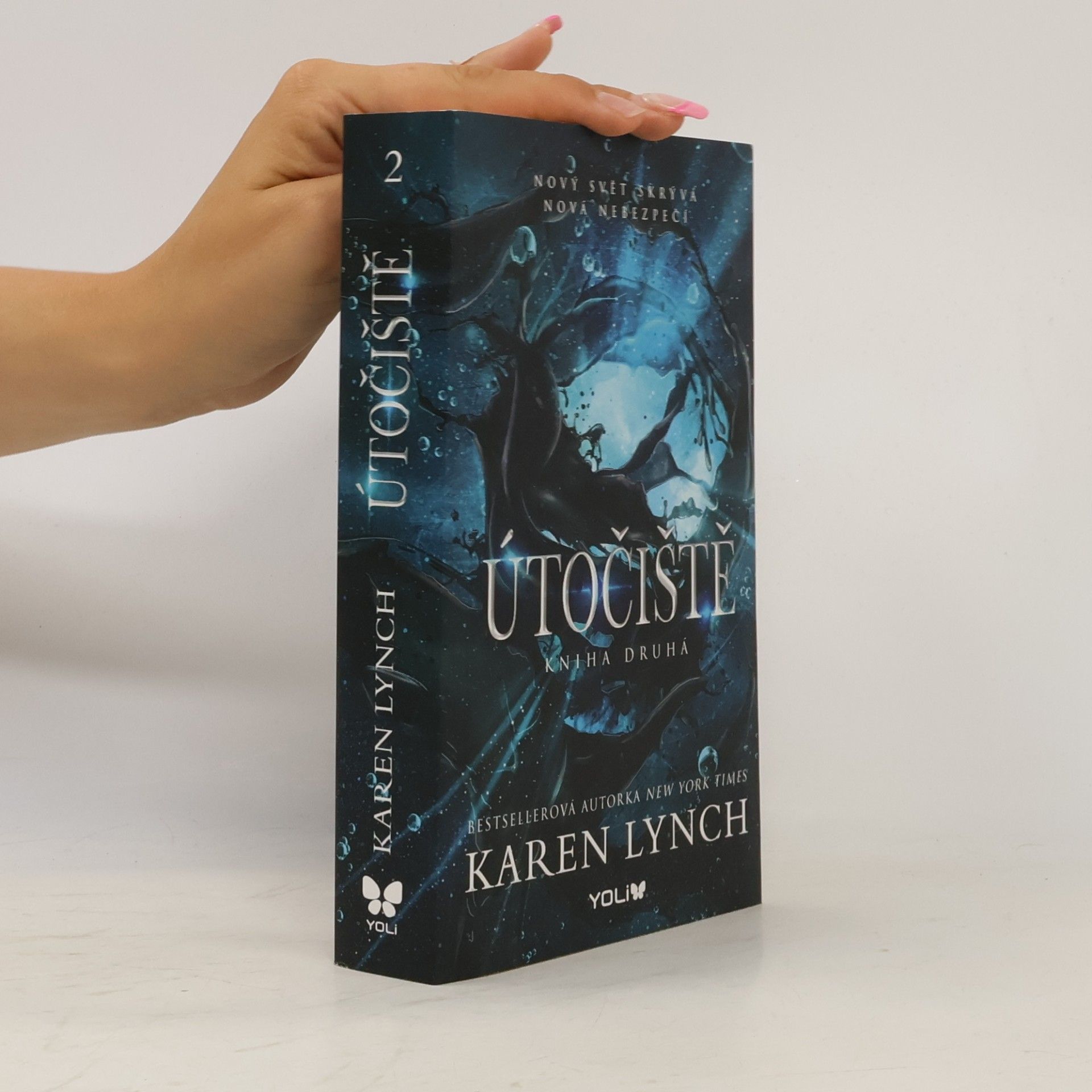 Karen Karen A. Lynch Útočiště
